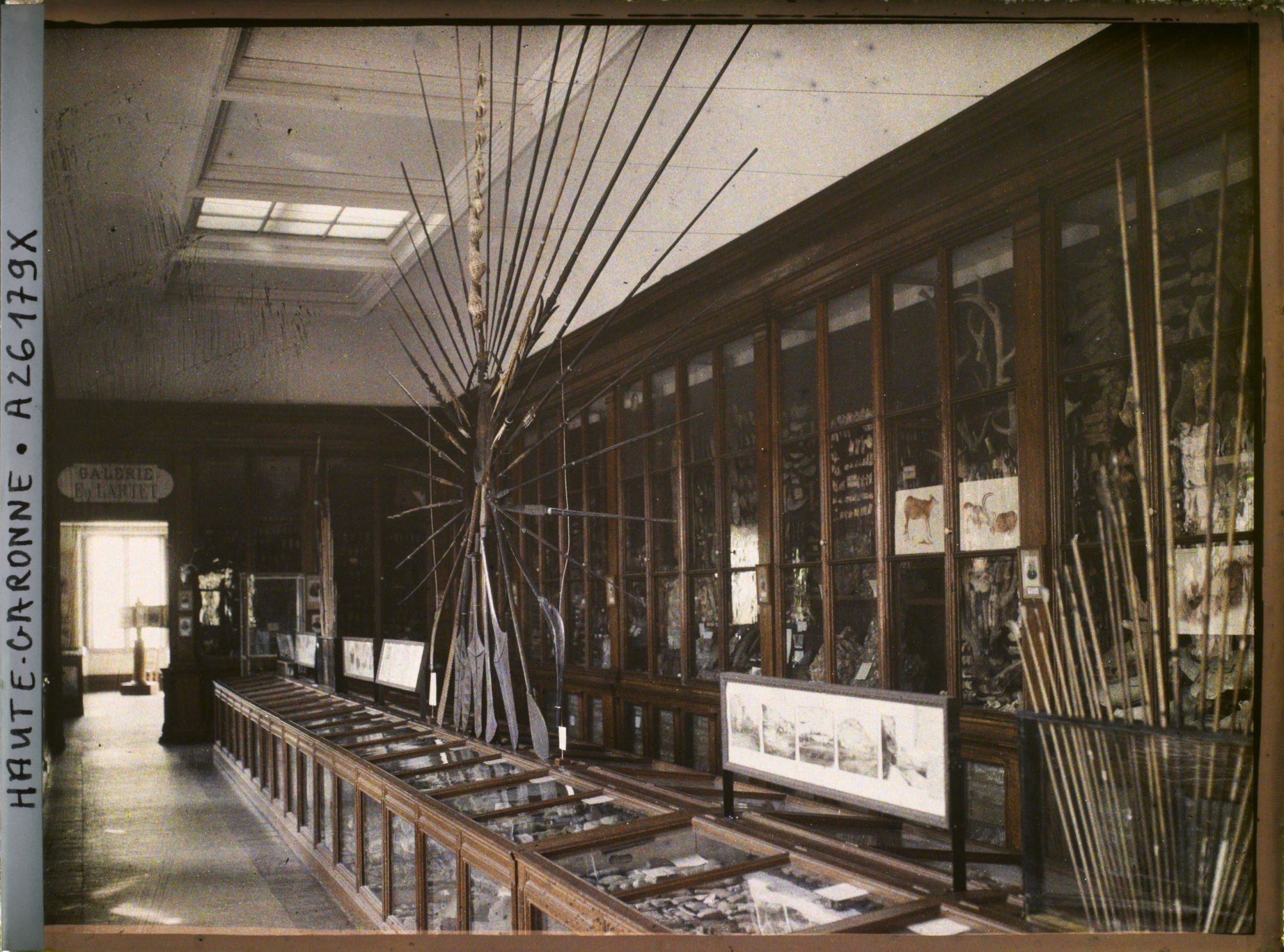 Image représentant Une des salles du museum d'histoire naturelle