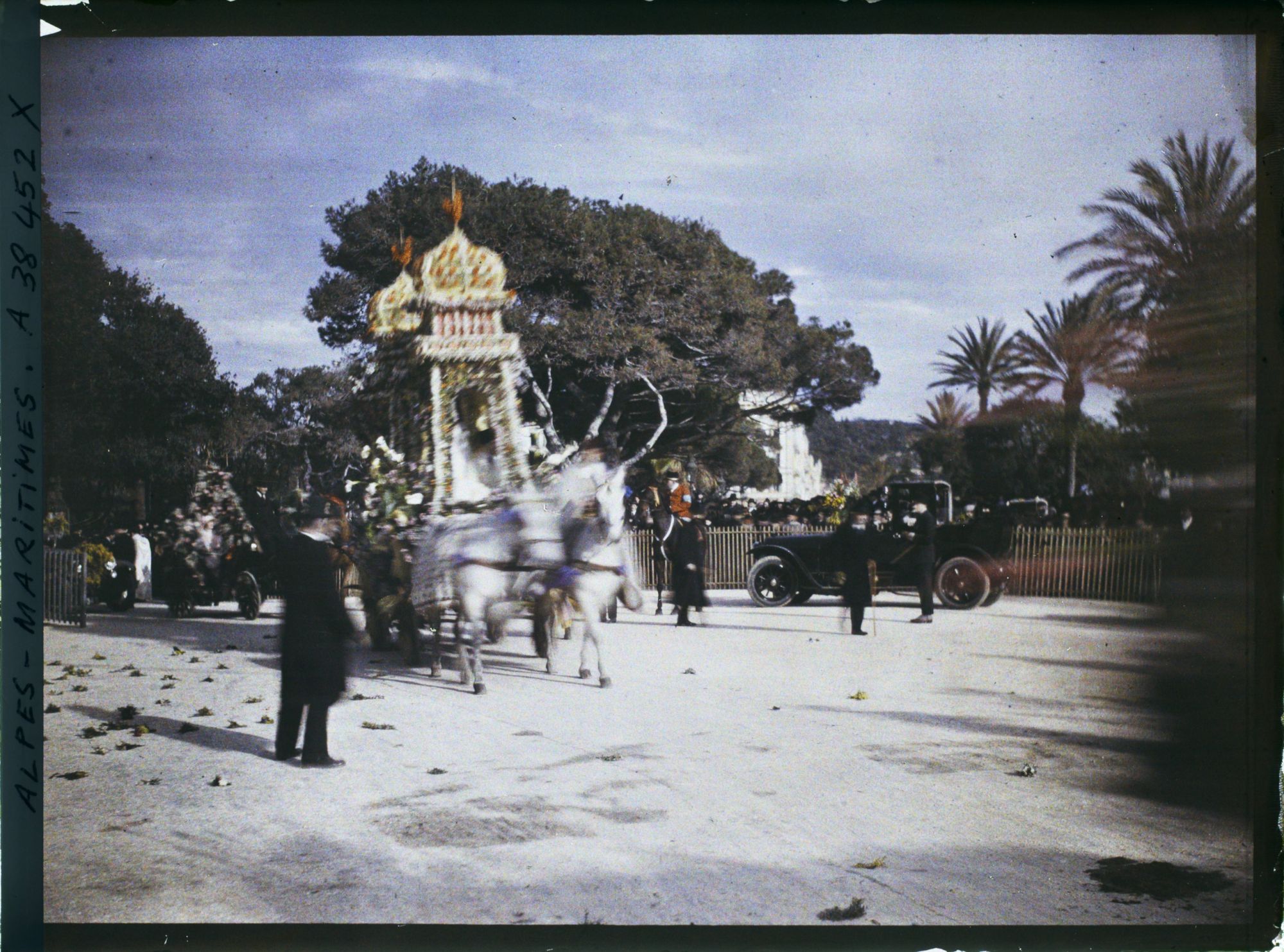 Image représentant Le carnaval, la fête des fleurs