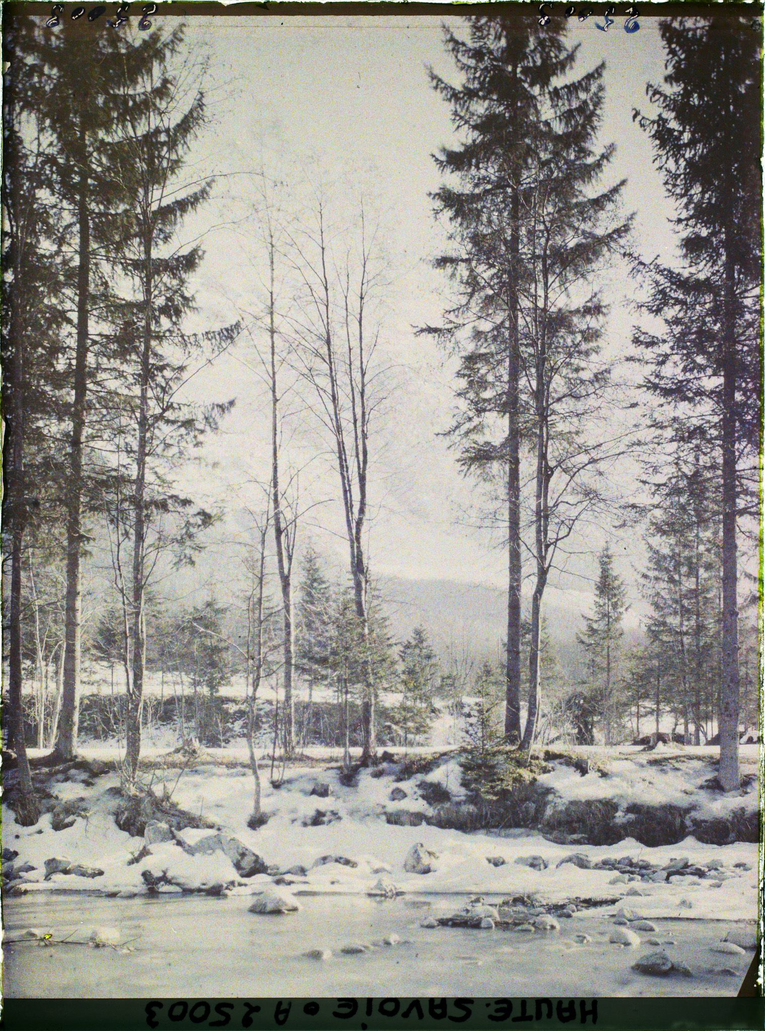 Image représentant France, Les Alpes-Vallée de Chamonix Paysage le long de l'Arve vers le glacier des Bossons