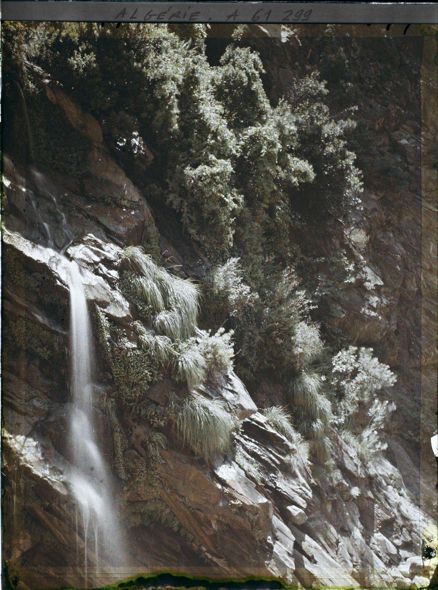 Image représentant Une cascade dans les gorges