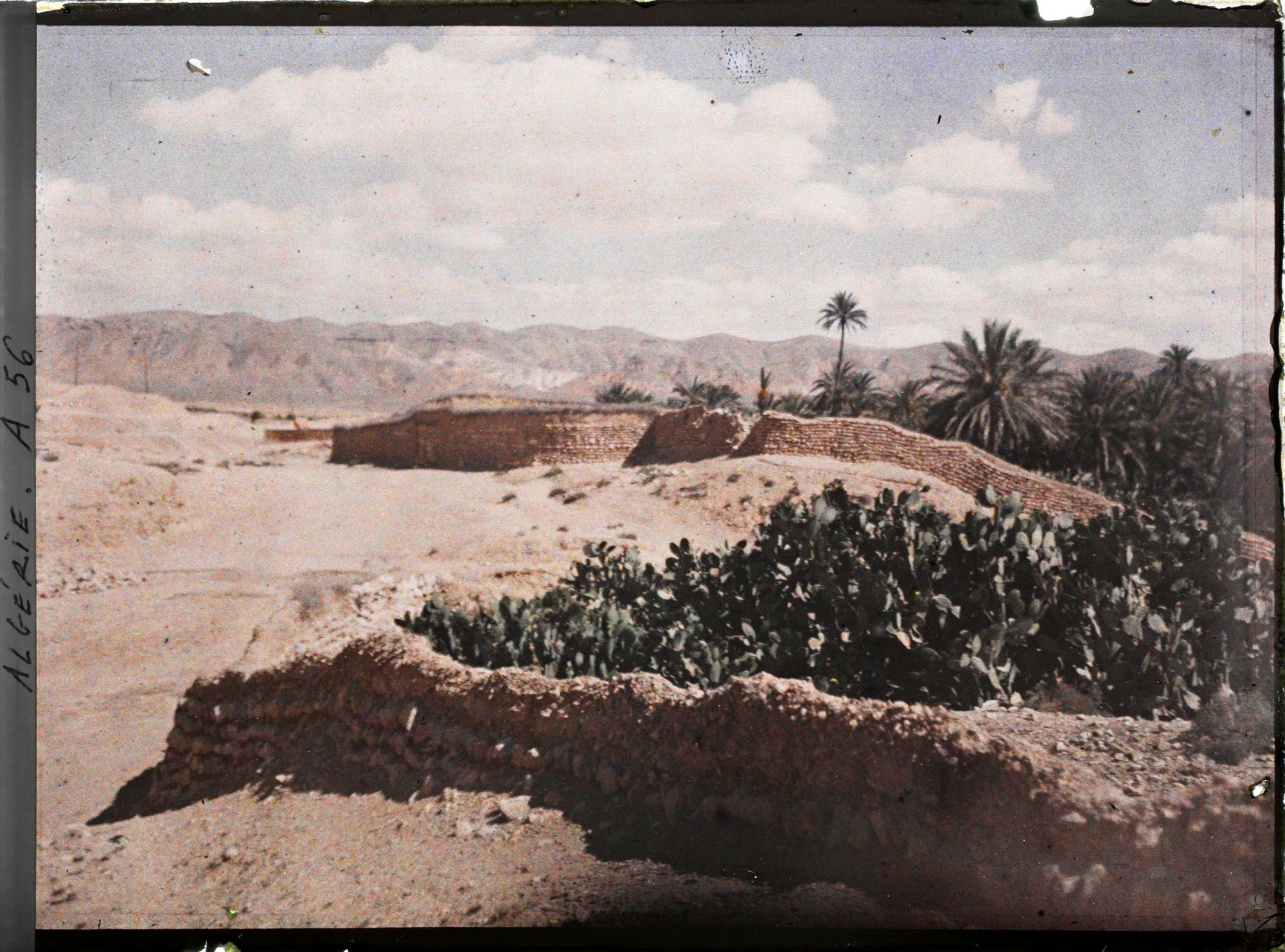 Image représentant Les murs de clôture de jardins et de palmeraies probablement dans le village Rouge