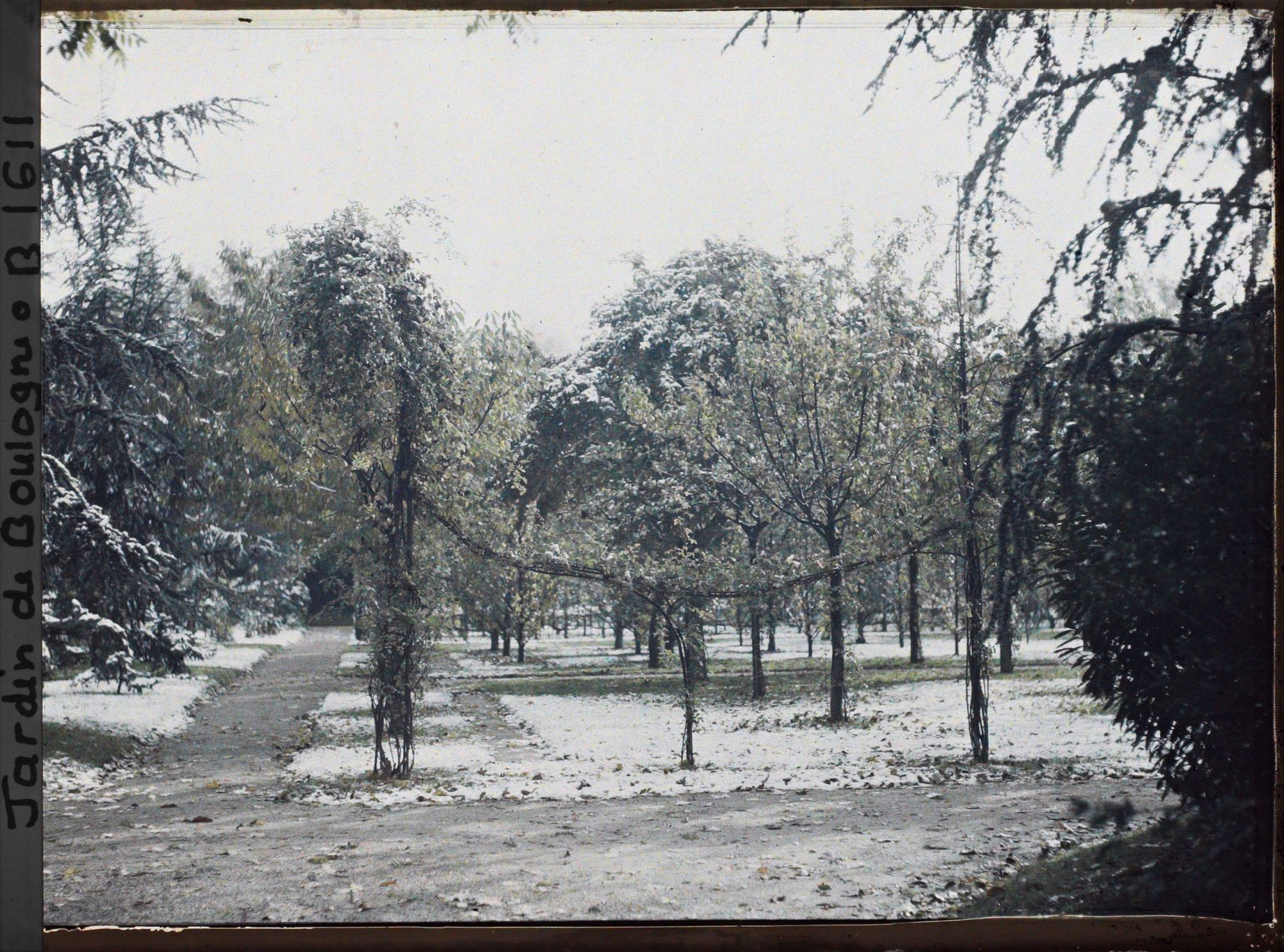 Image représentant Partie nord-ouest du verger-roseraie sous la neige, vue près de la dépendance vers le jardin français