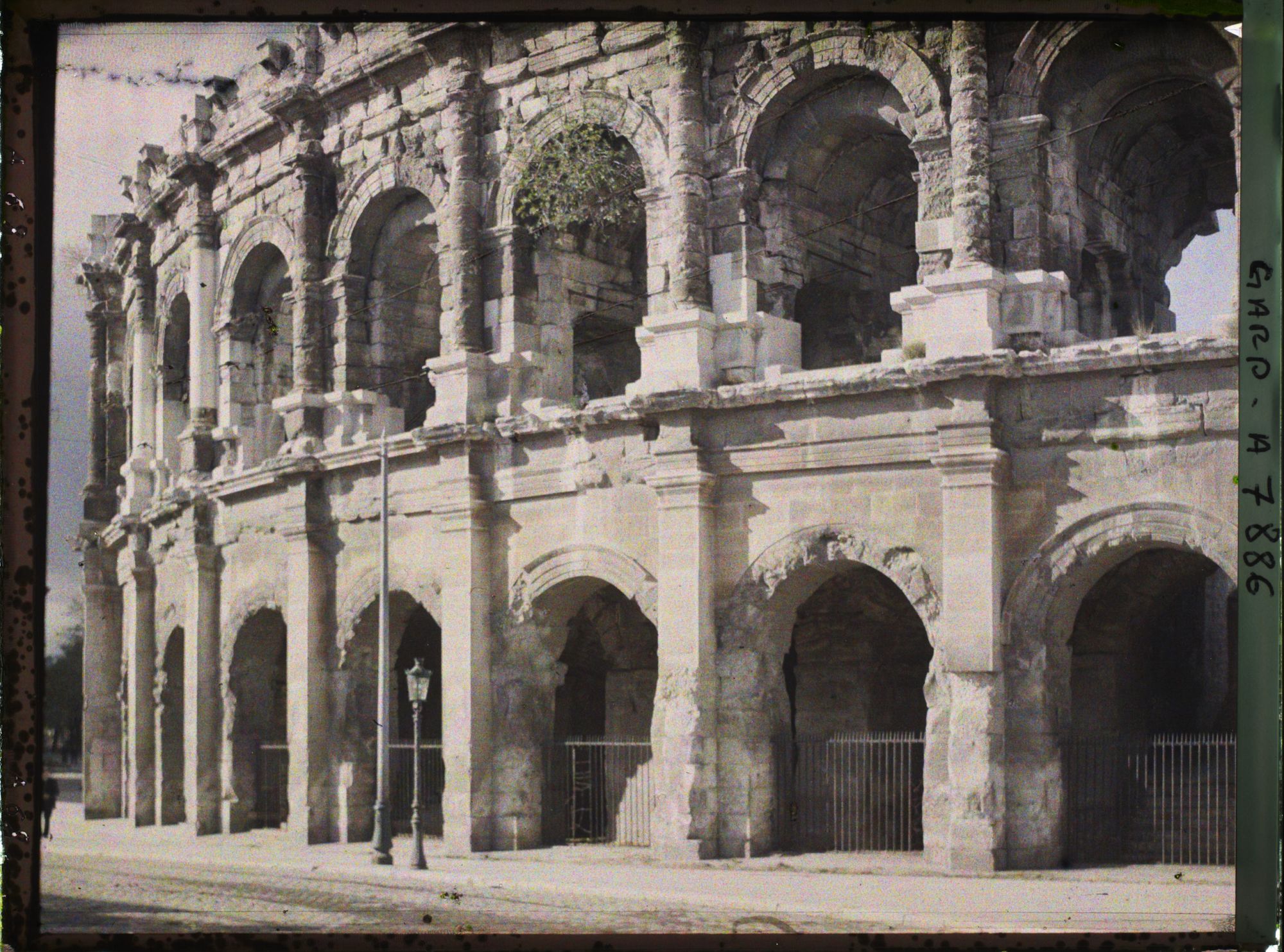 Image représentant Les arènes