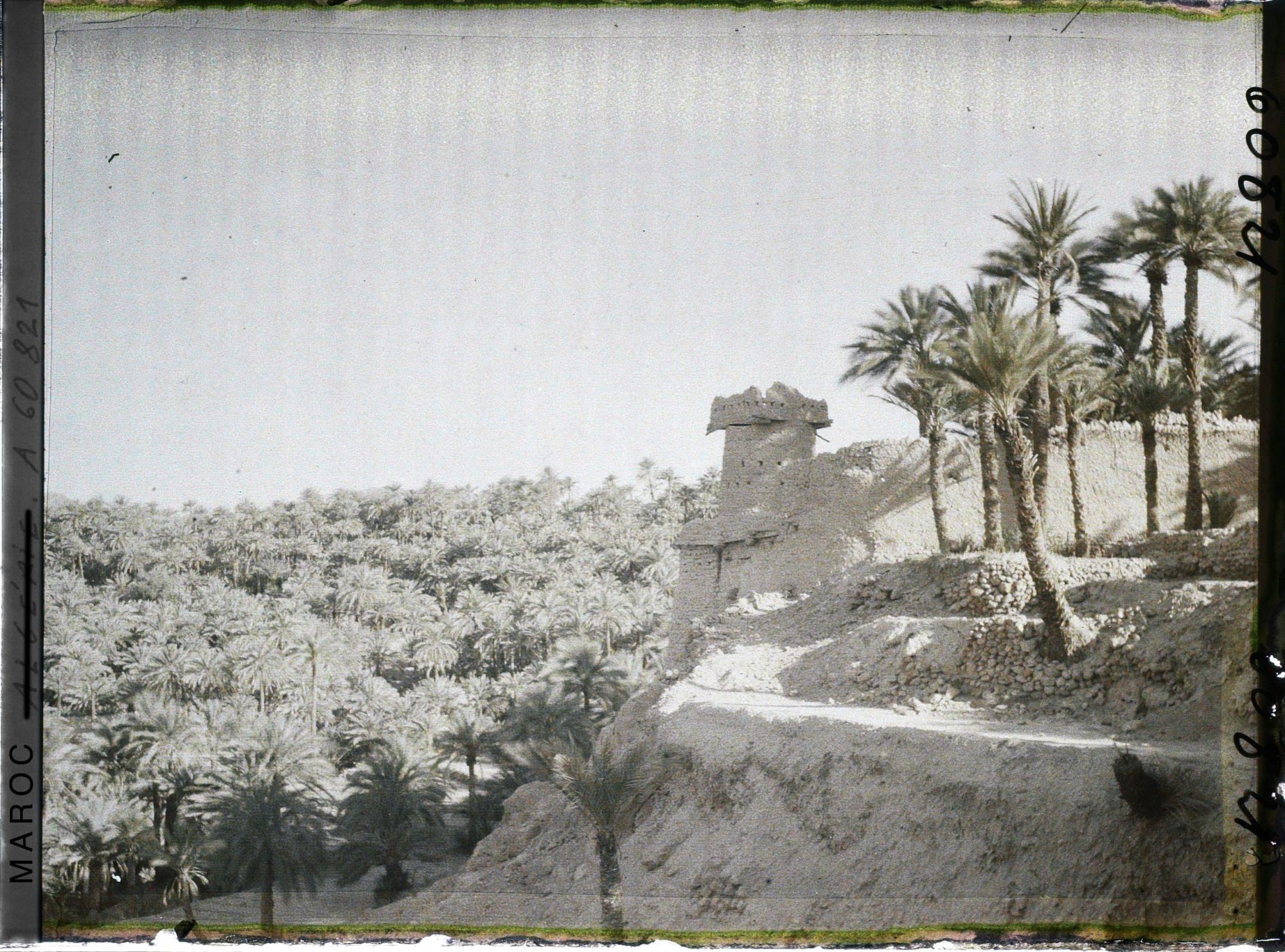 Image représentant Palmeraie et tour de garde