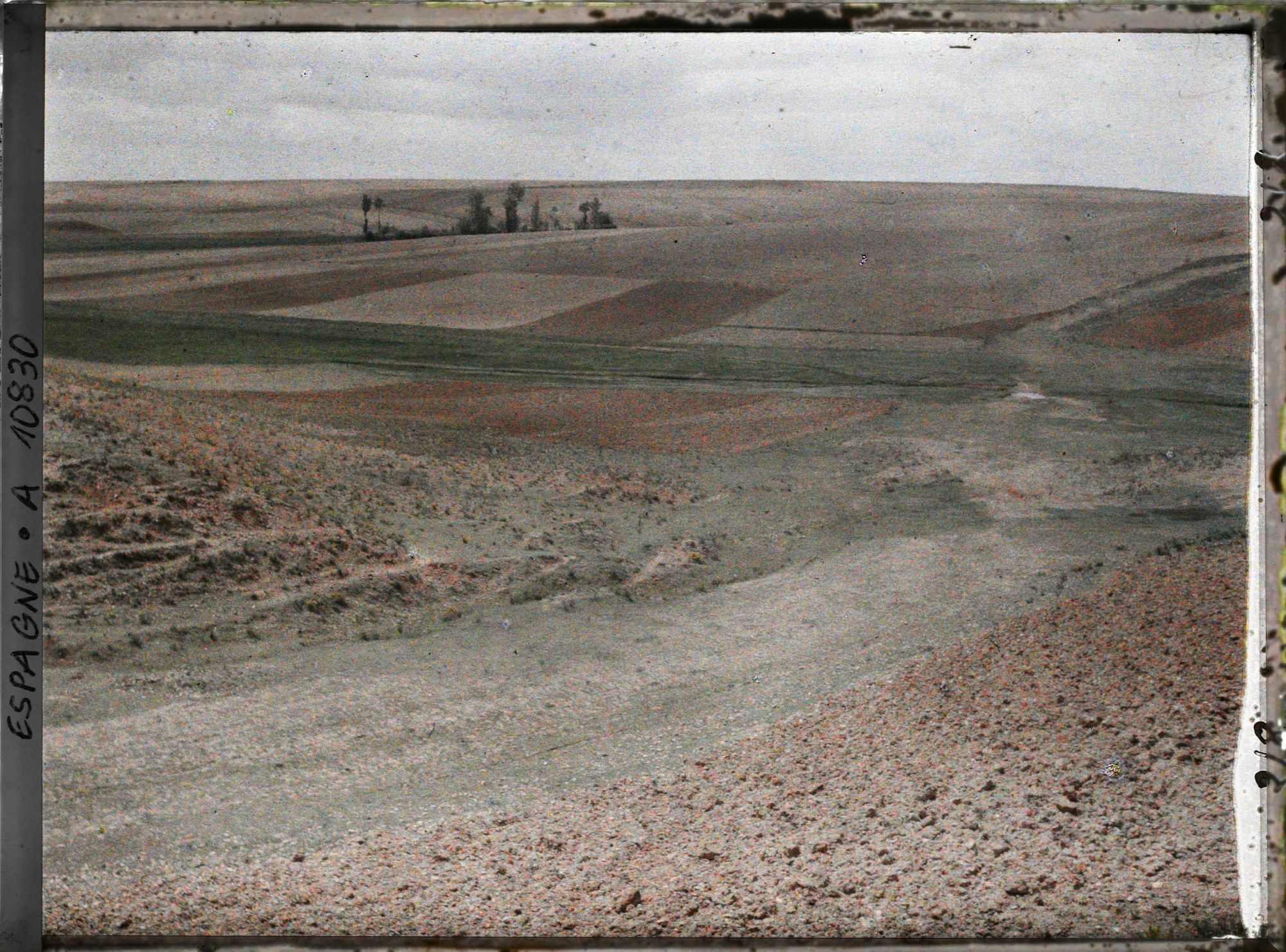 Image représentant Espagne, de Léon à Astorga, Vue typique du plateau de Castille cultivé avec un petit fond marécageux couvert d'herbes