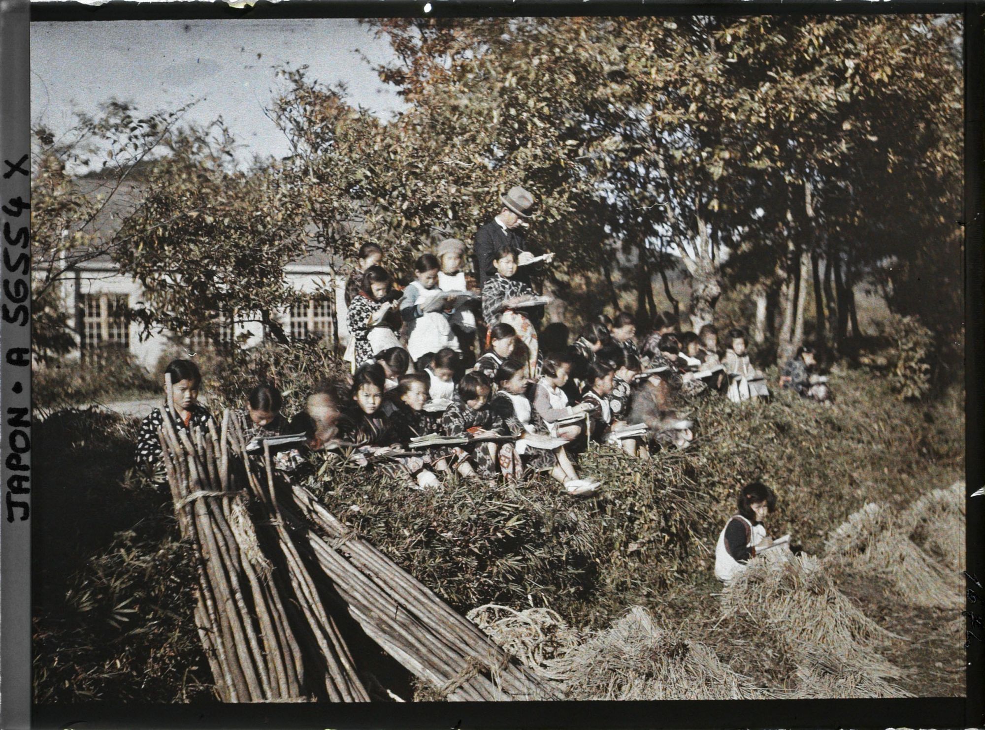 Image représentant Ecolières à l'étude du dessin d'après nature