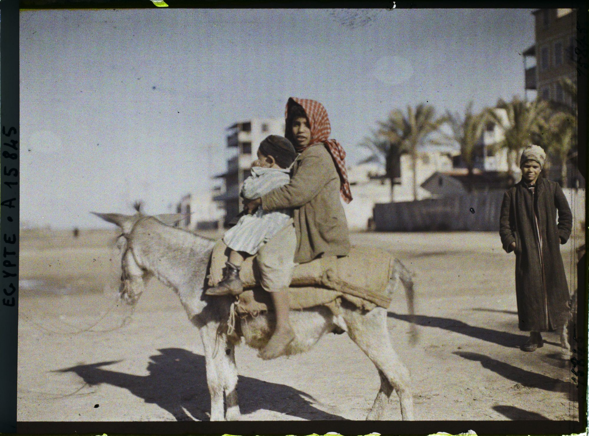 Image représentant Deux enfants sur un âne posant pour l'opérateur
