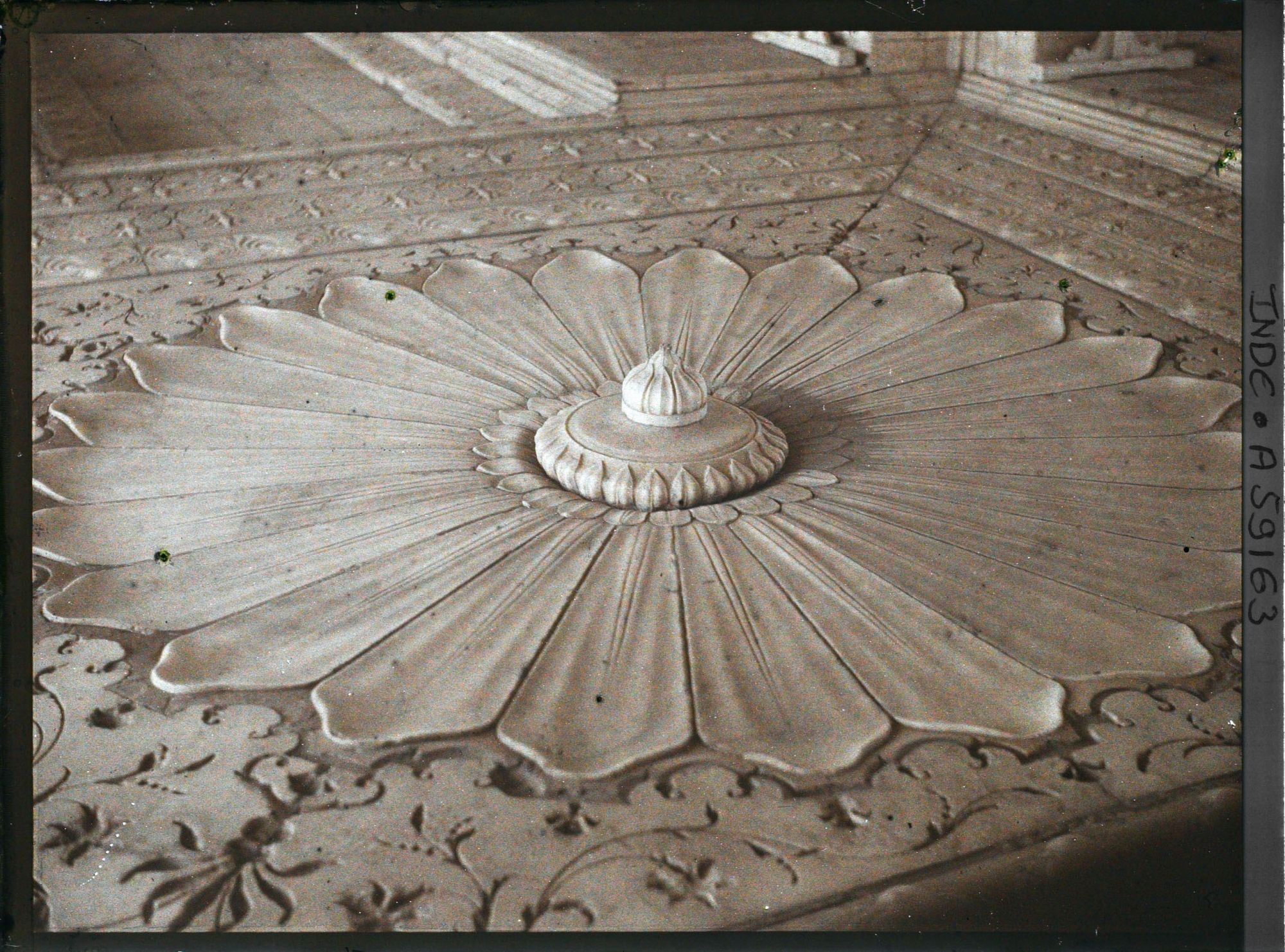 Image représentant La fontaine en forme de fleur de lotus épanouie du pavillon des couleurs (Rang Mahal), partie principale du harem du fort Rouge (Lal Qila)