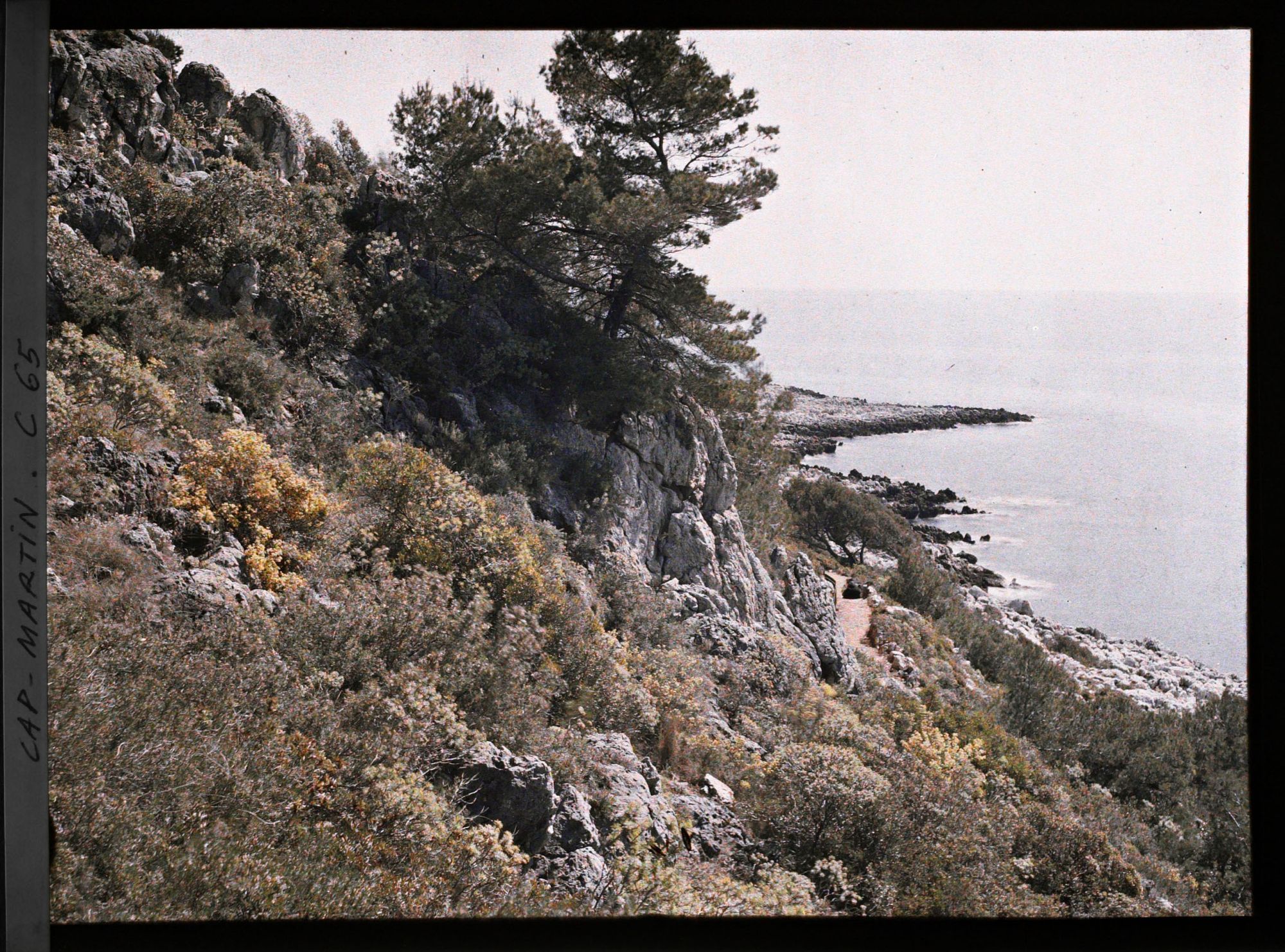 Image représentant La pointe du cap et le sentier des douaniers surplombés par roches et fleurs proches de la villa Kahn