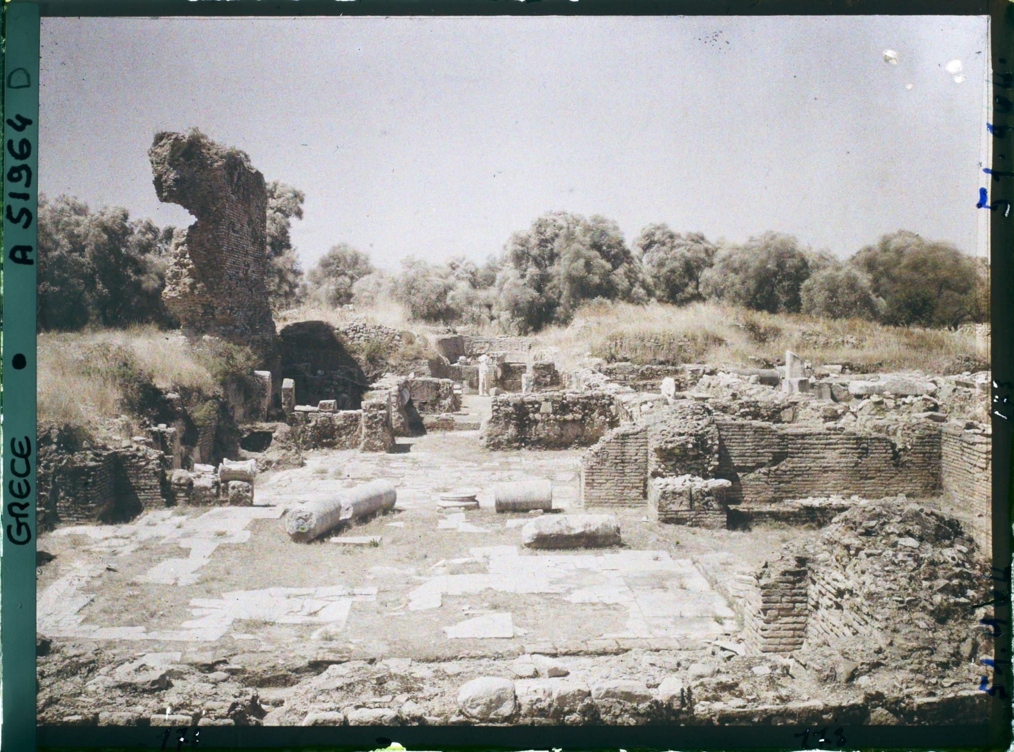 Image représentant Ensemble de ruines du temple d'Appolon Pythios