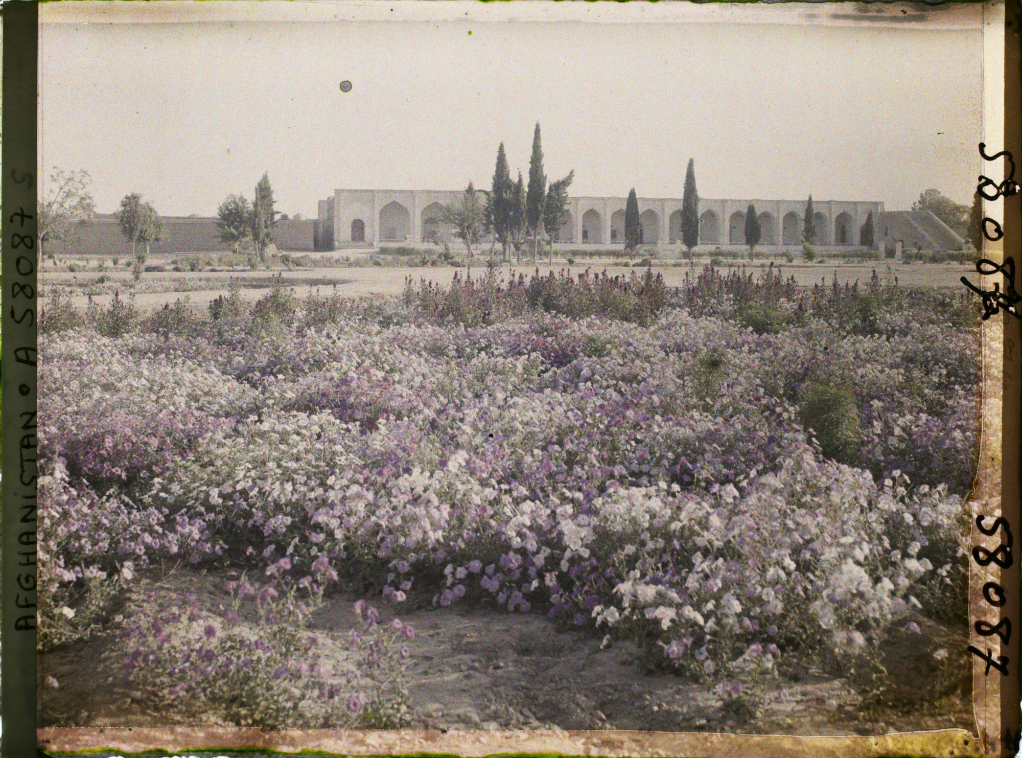 Image représentant Le jardin public et la façade du Palais des Gouverneurs