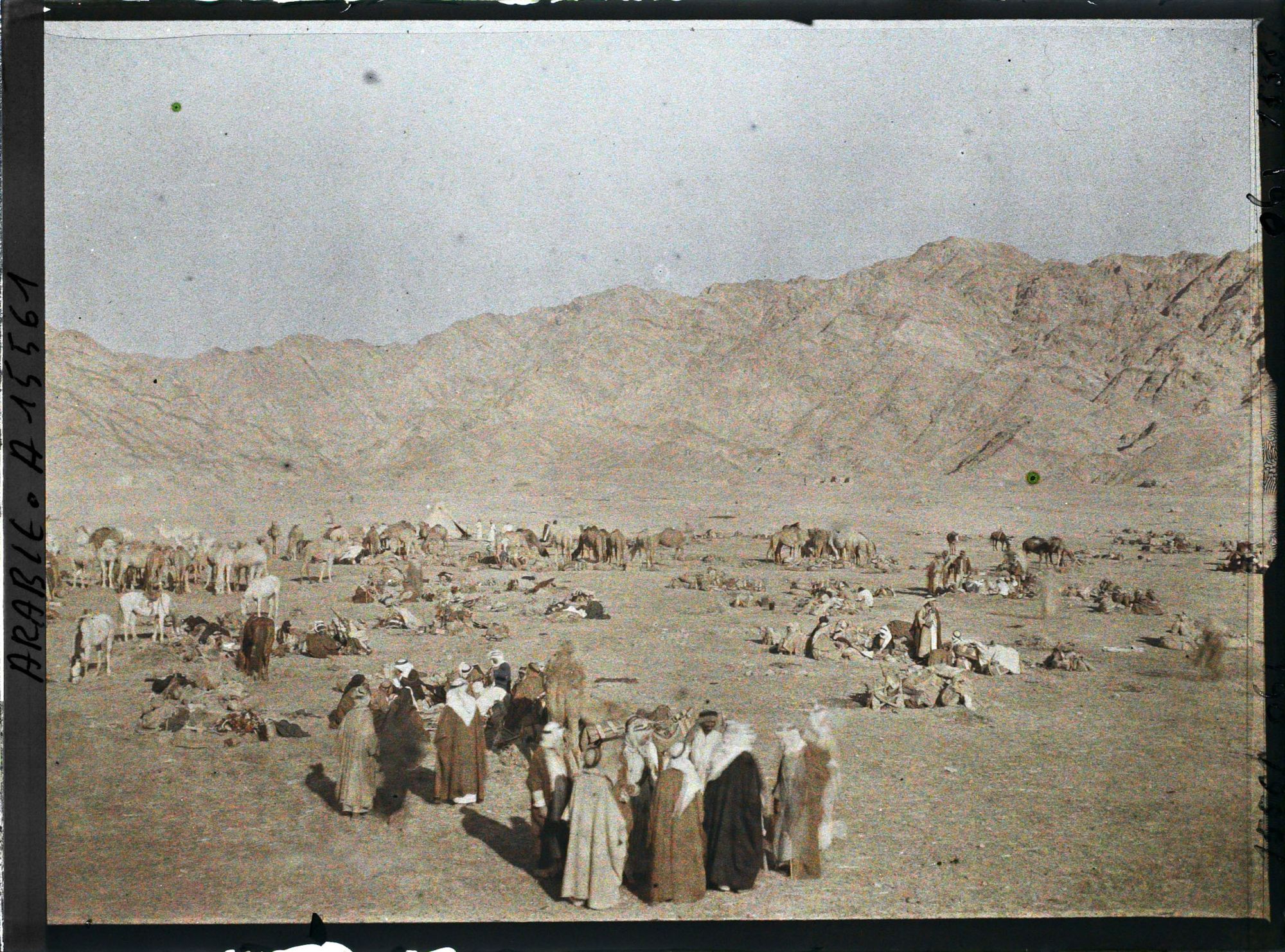 Image représentant Groupe de bédouins