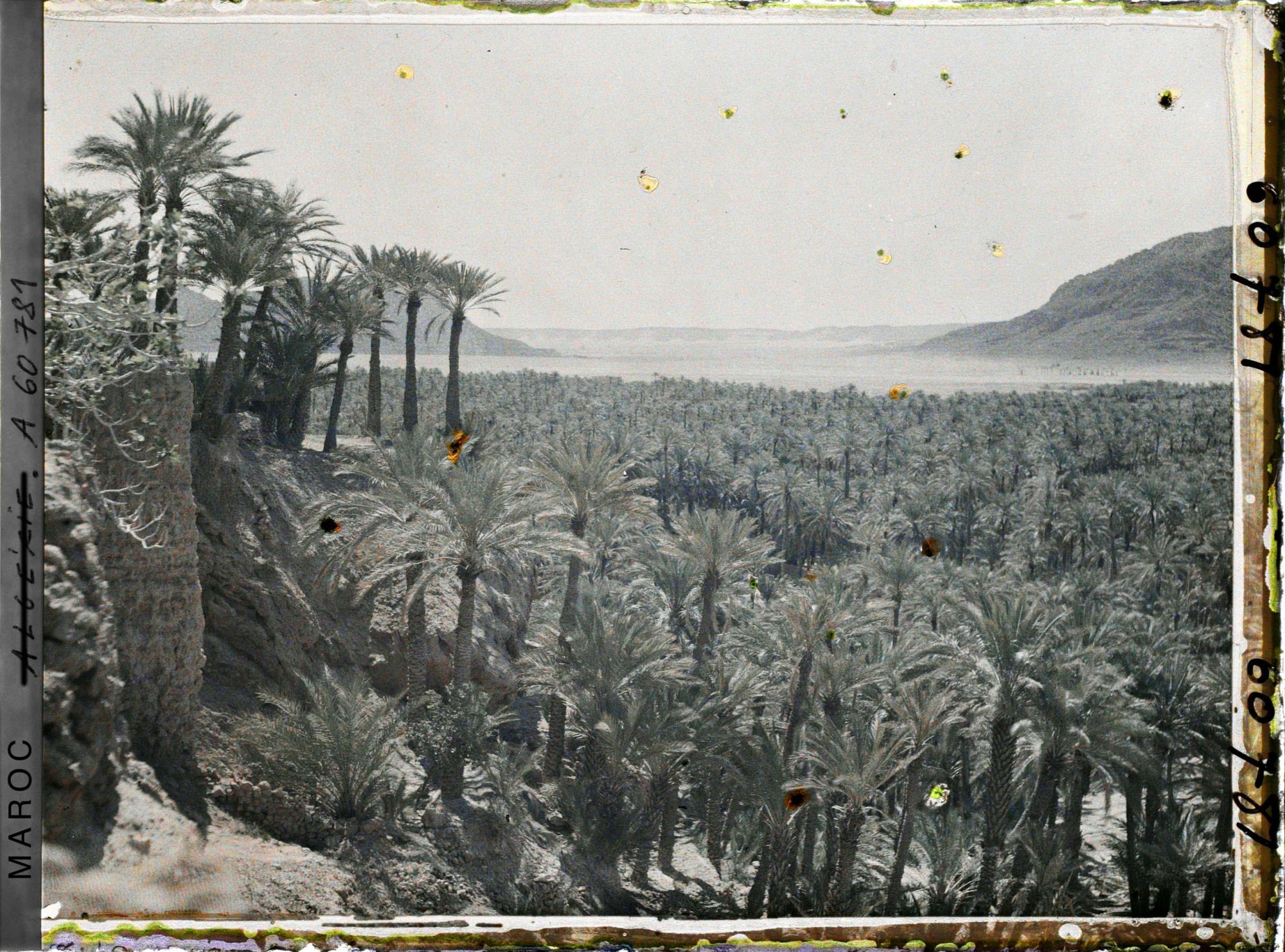 Image représentant L'oasis et la plaine de Baghdad avec à droite, le Djebel Taghla