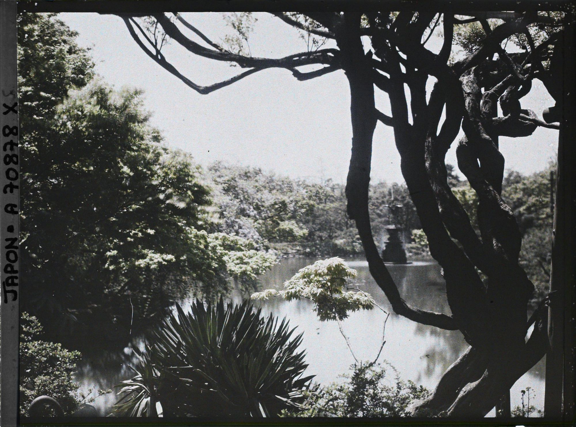 Image représentant Hibiya-koen (parc de Hibiya) : l'étang Shinkei