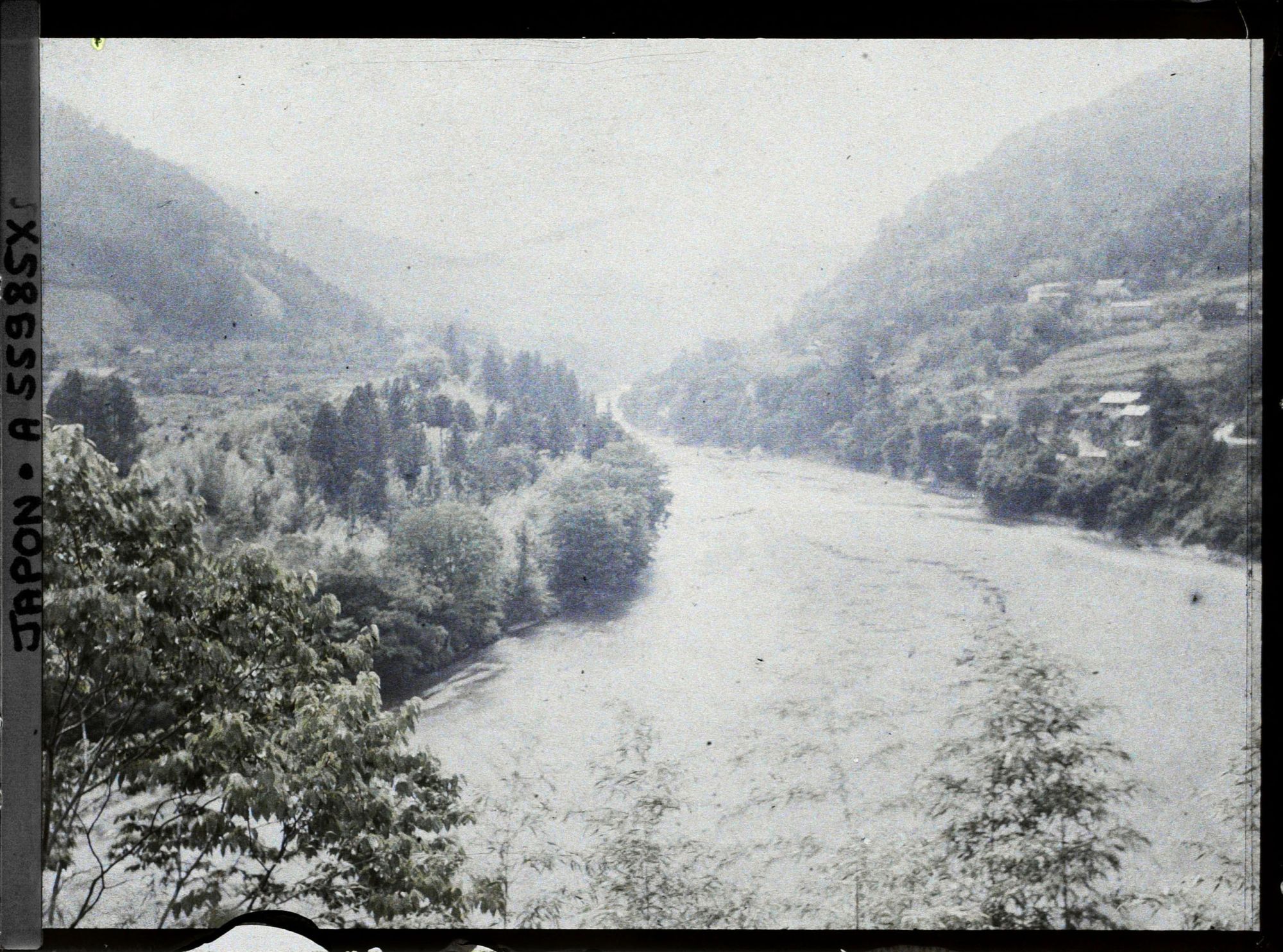 Image représentant Rivière Tamagawa