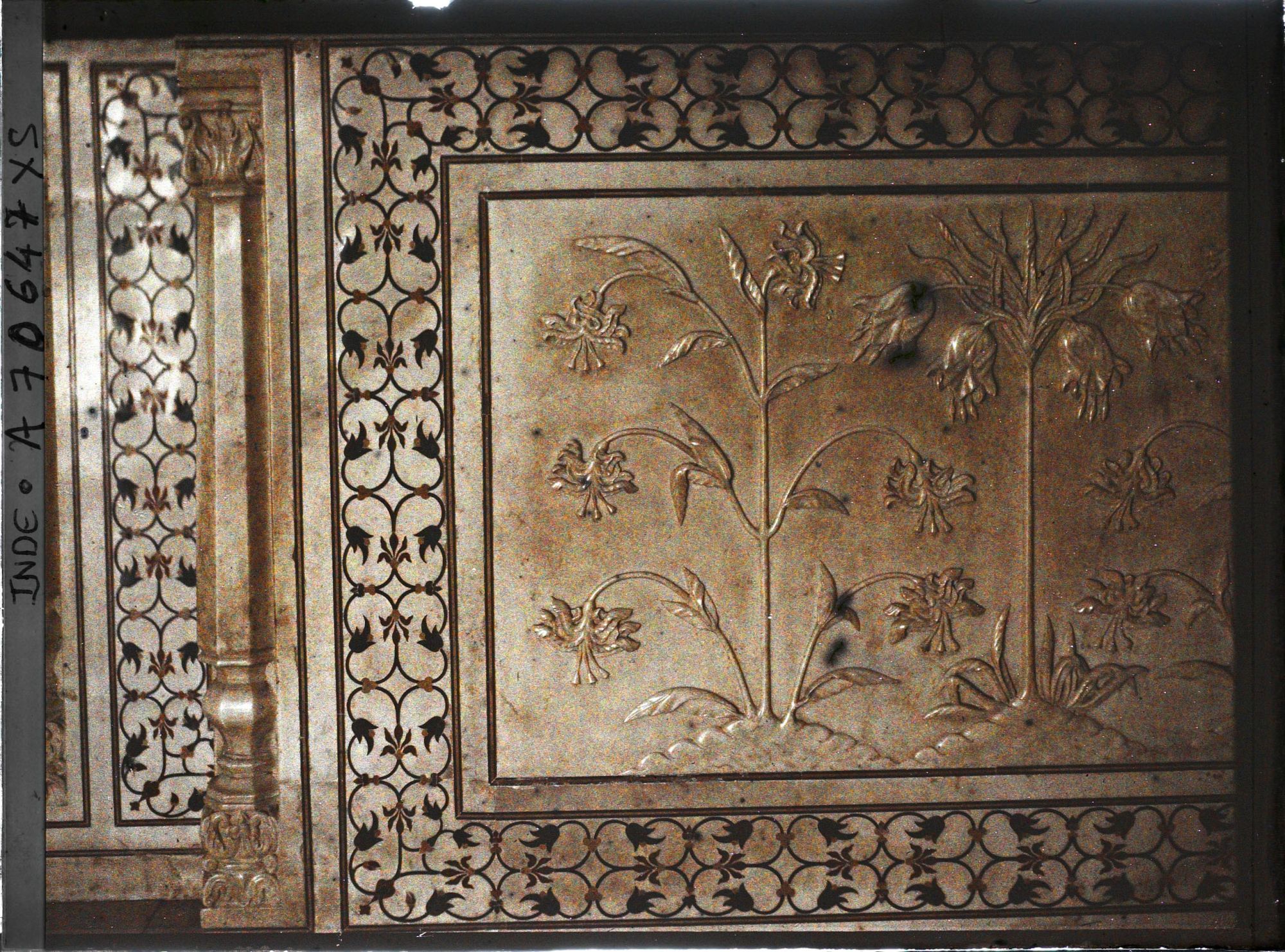 Image représentant Décor mural représentant des fleurs en marbre ciselé encadrées de frises en pietra dura dans l'un des vestibules du Taj Mahal