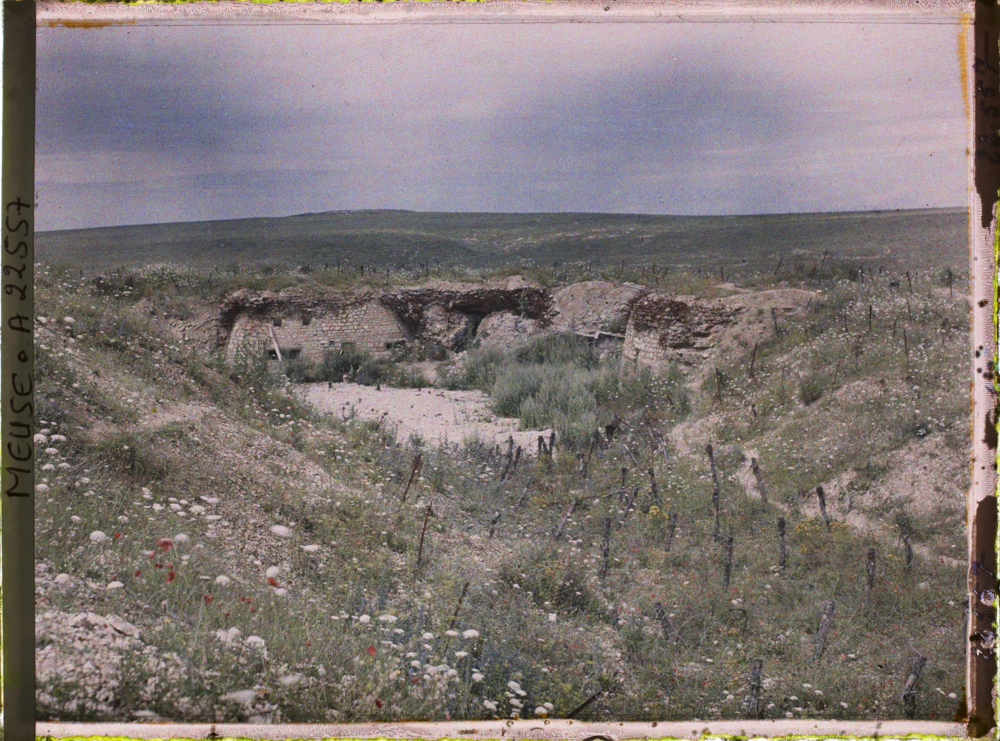 Image représentant France, Vaux, Courtine Est de Vaux, et, Dans le fond, fort de Douaumont