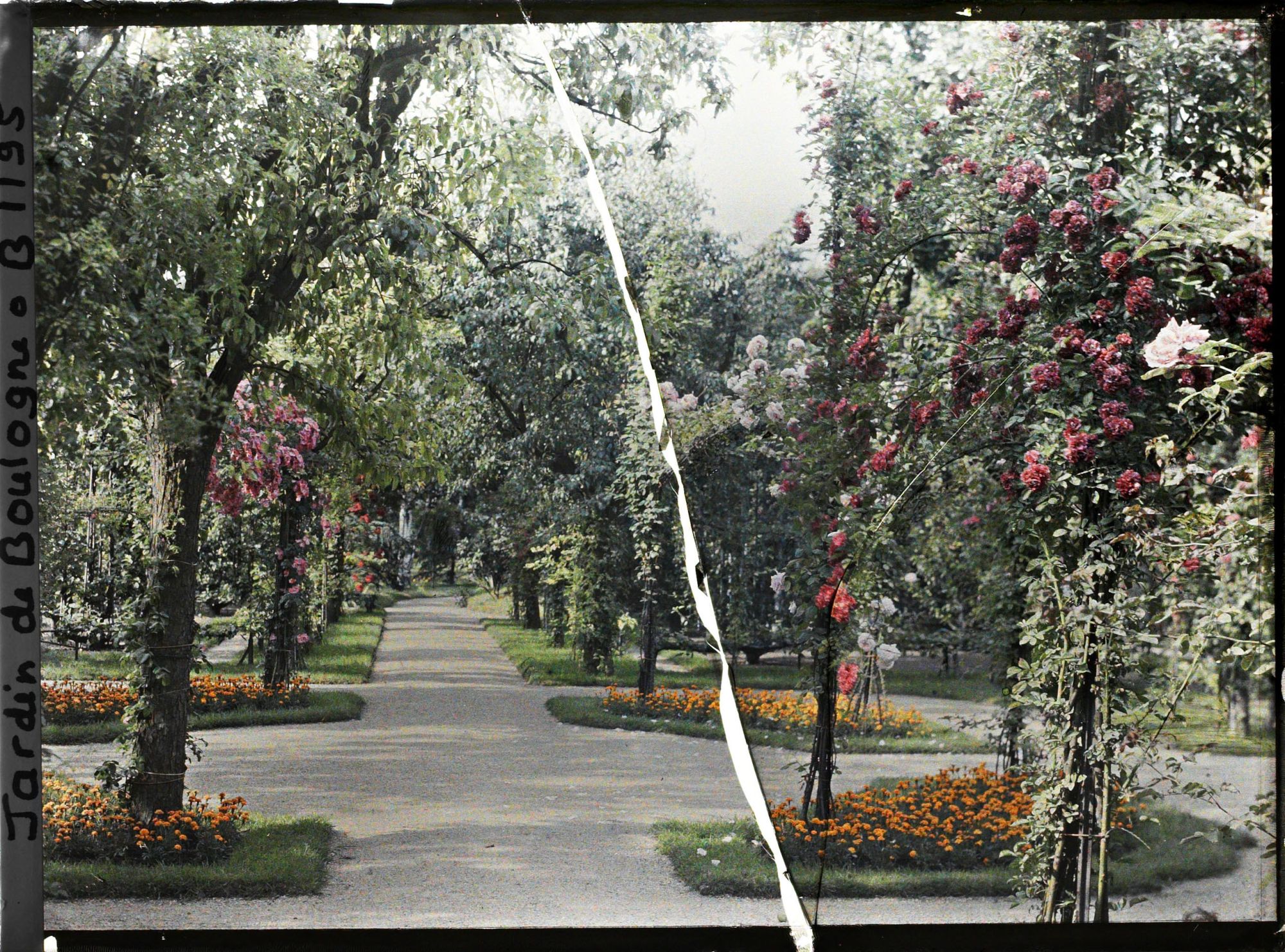 Image représentant Rond-point fleuri proche du jardin français, sur une allée du verger-roseraie menant à la forêt bleue