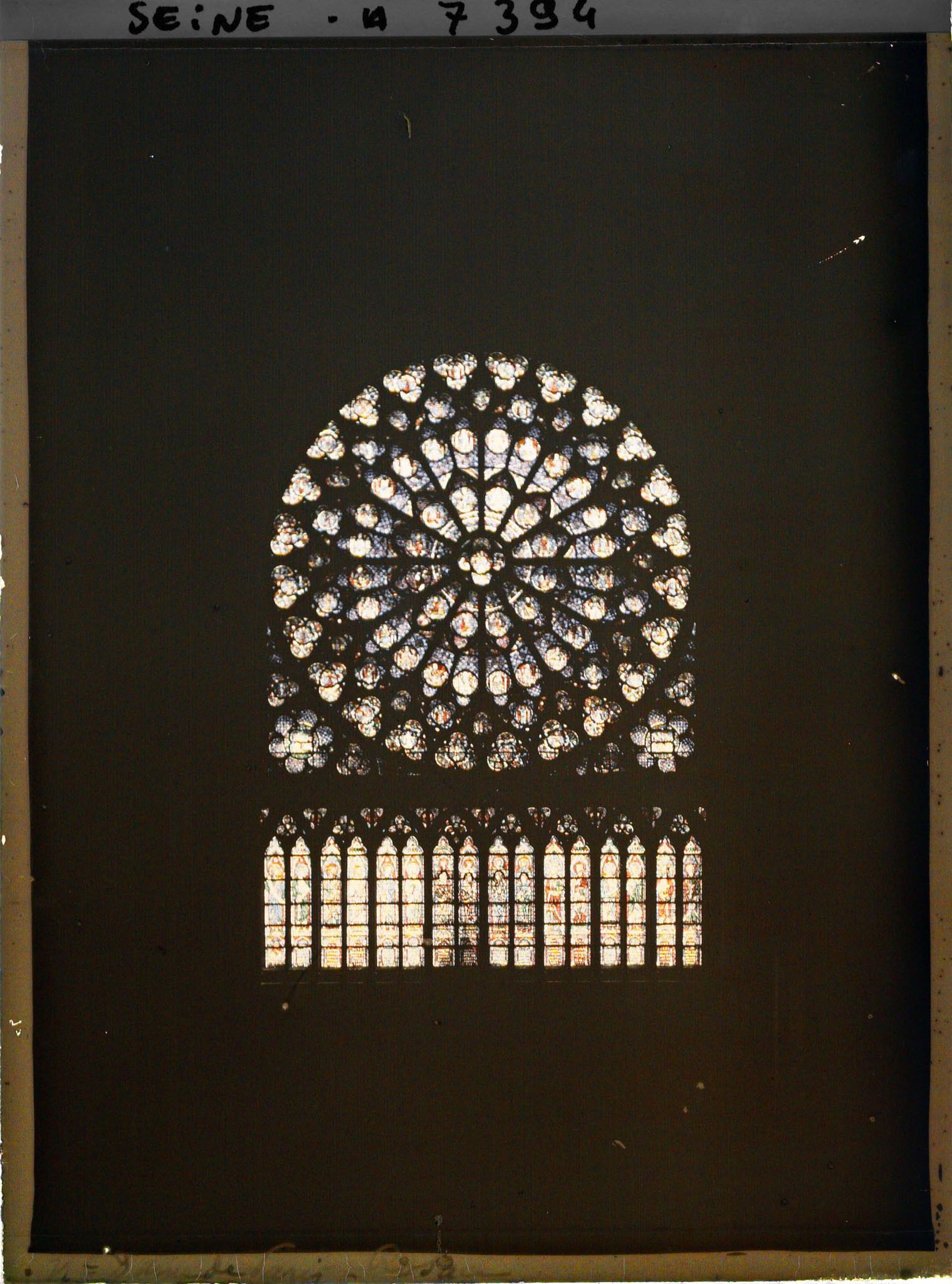 Image représentant La rosace sud de Notre-Dame