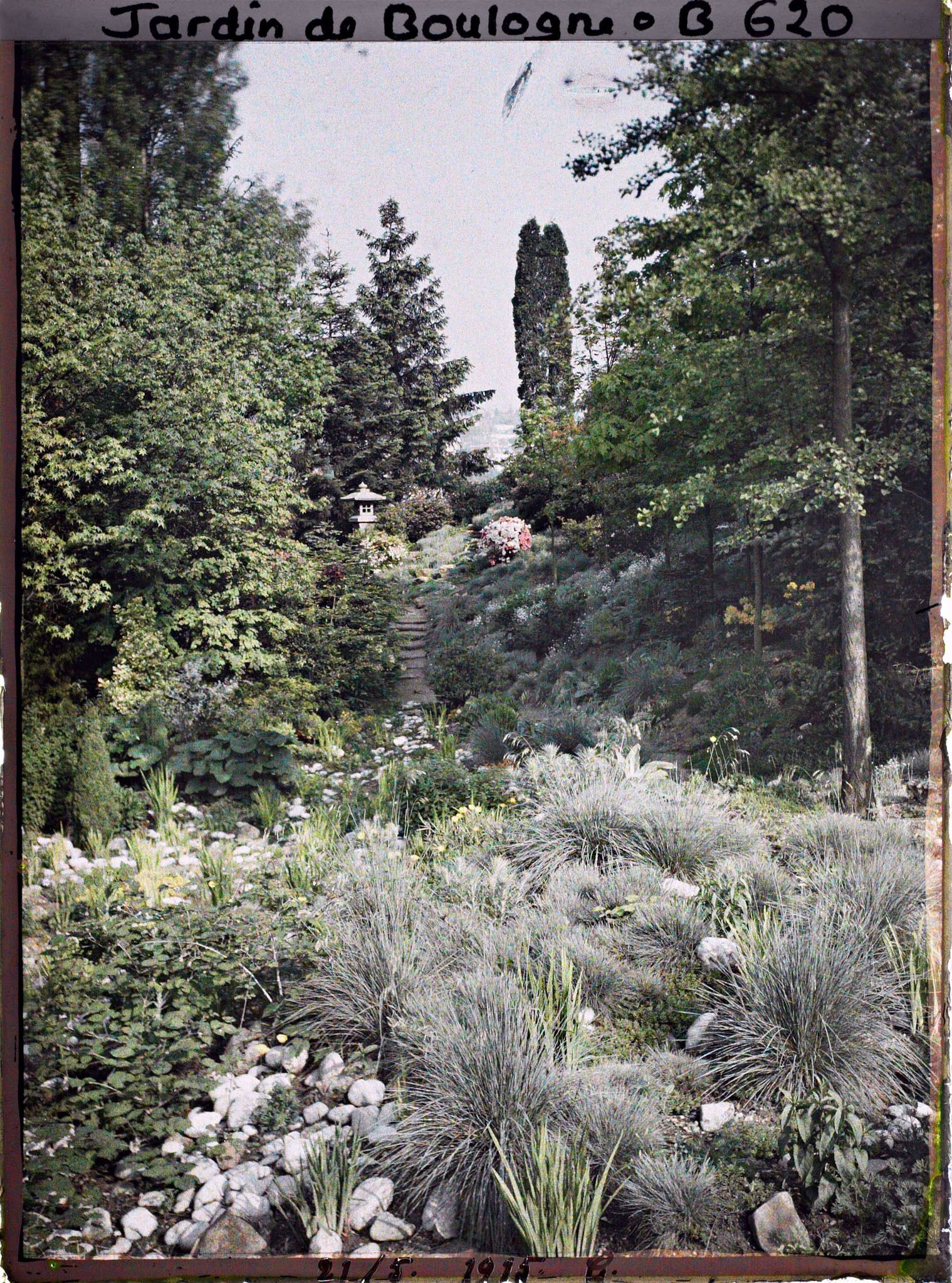 Image représentant Lanterne en haut d'un chemin escarpé du " jardin chinois " précédé d'un espace pierreux et herbacé