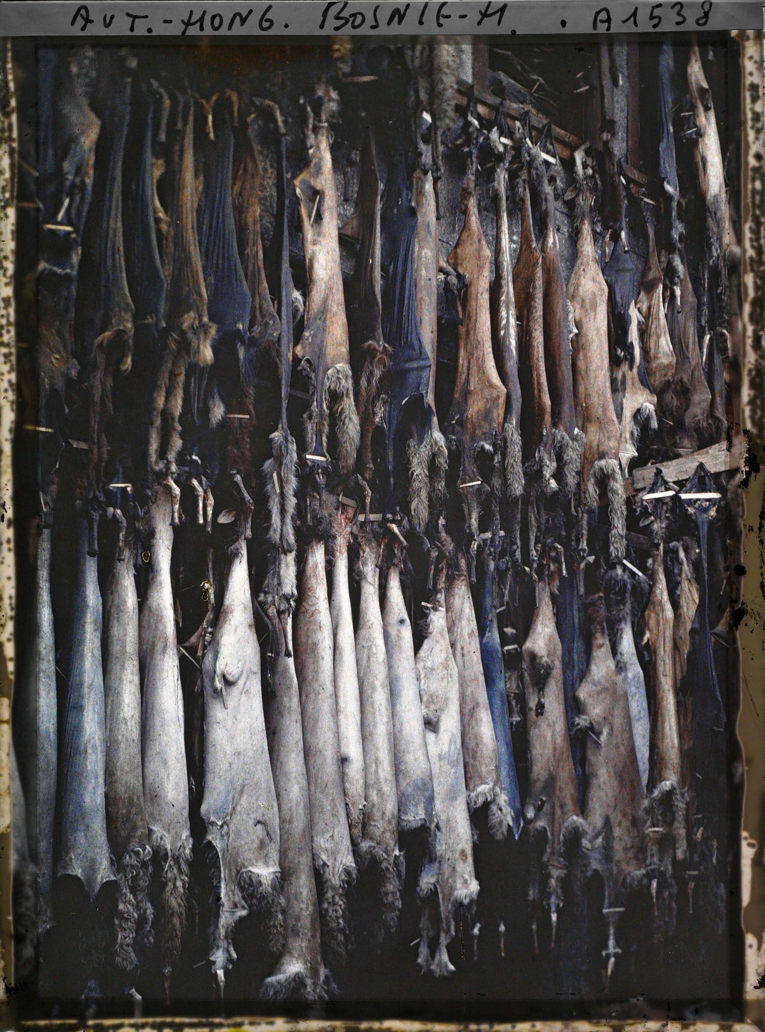 Image représentant Les tanneries