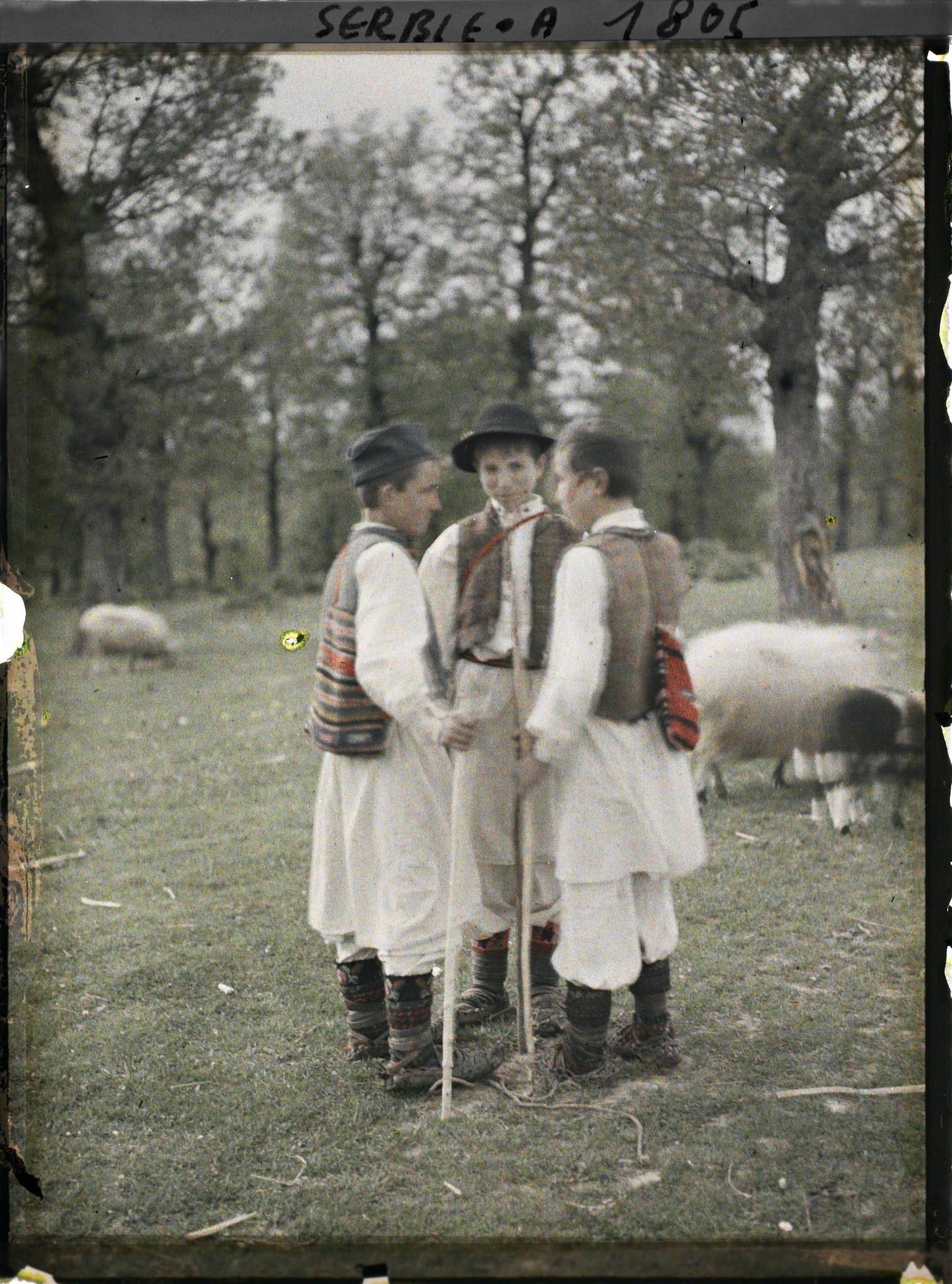 Image représentant Groupes de bergers sur la route d'Avala