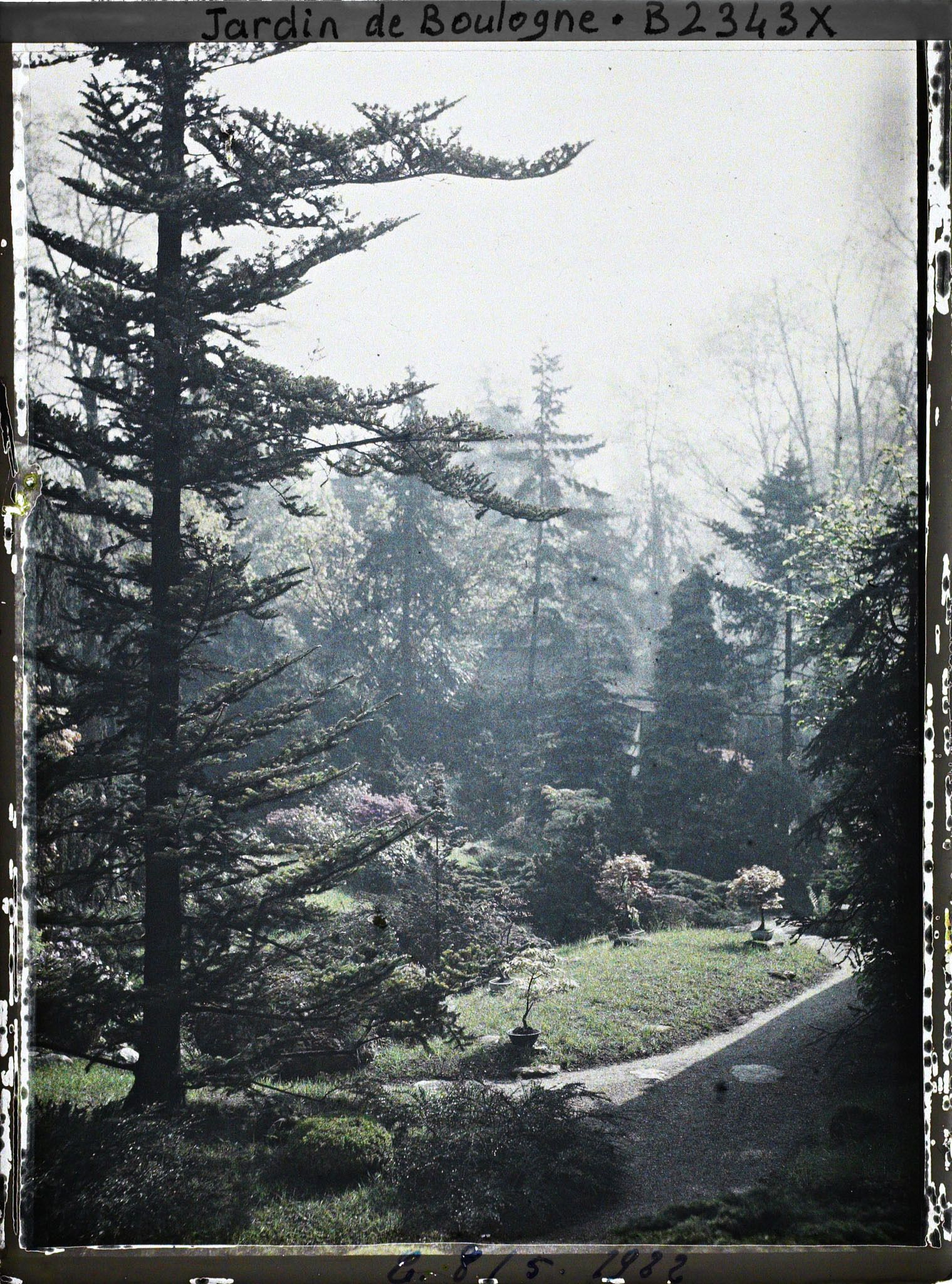 Image représentant Partie de jardin à l'ouest du " village japonais "  dont les arbres dissimulent le pavillon de thé