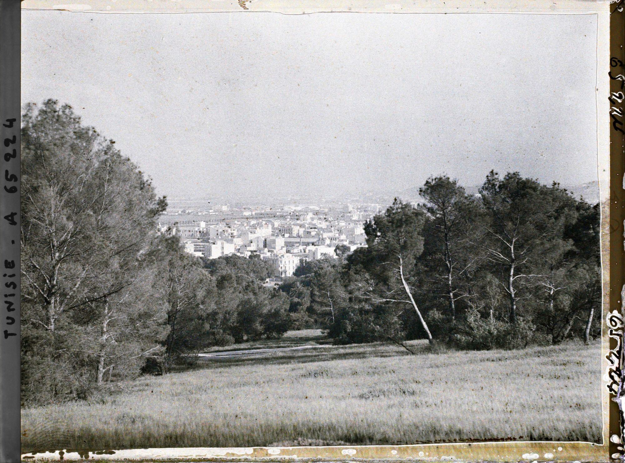 Image représentant Vue de Tunis, prise depuis le parc du Belvédère