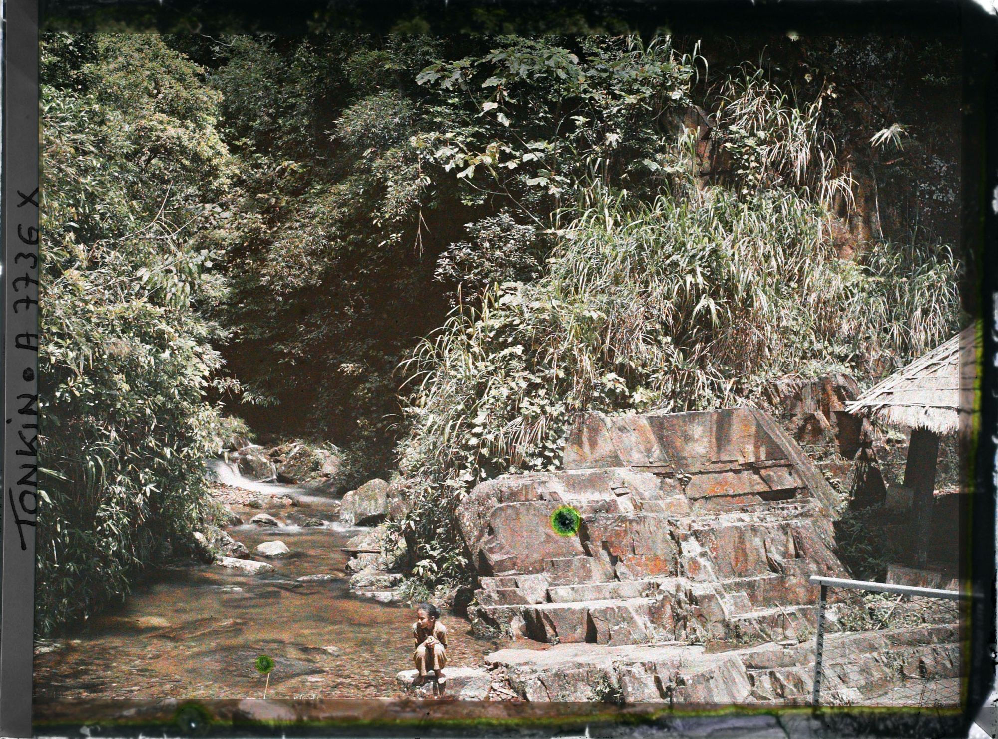Image représentant Un ruisseau et un escalier taillé dans le roc sur une pente du massif du Tam-dao (" Trois Sommets ")