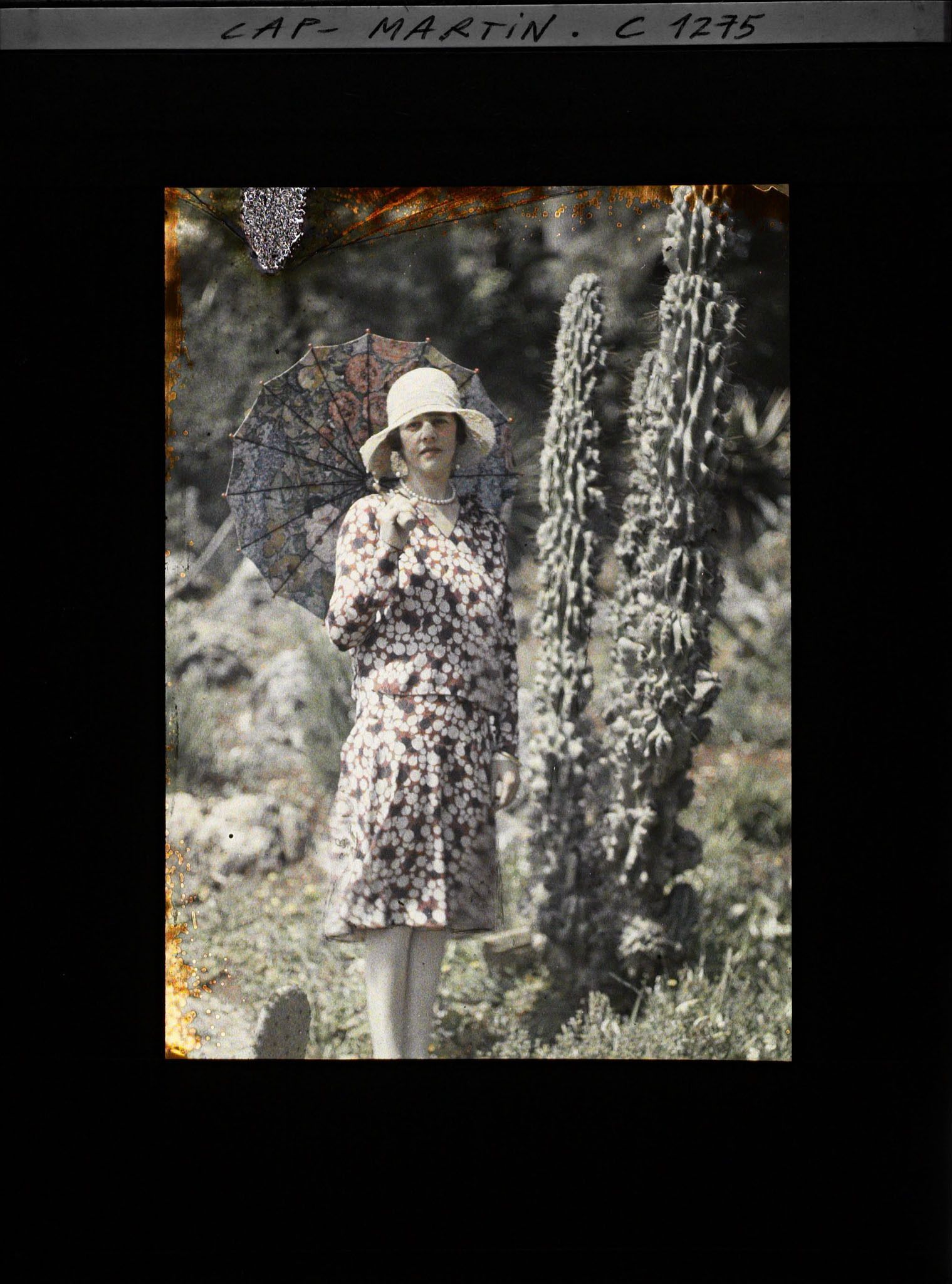 Image représentant Madame Stresemann, veuve de Gustav Stresemann, ministre des Affaires étrangères d'Allemagne