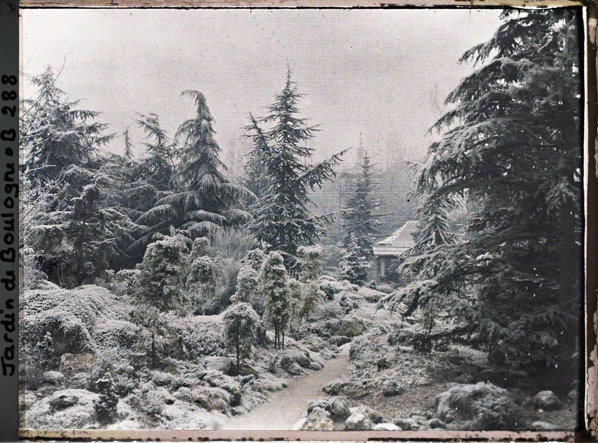 Image représentant Espace arboré du " sanctuaire japonais " sous la neige avec une allée menant au " village japonais "