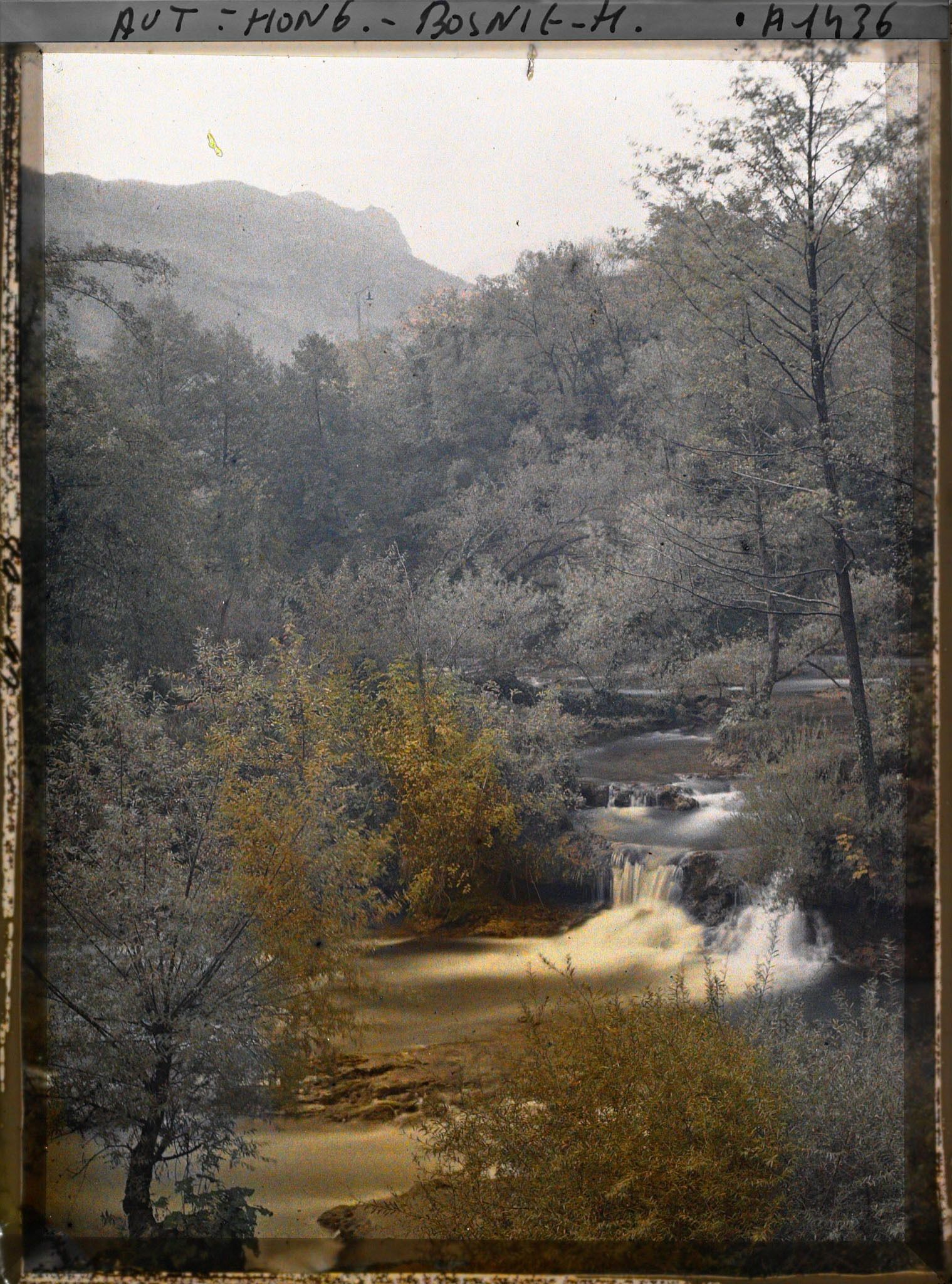 Image représentant La Pliva