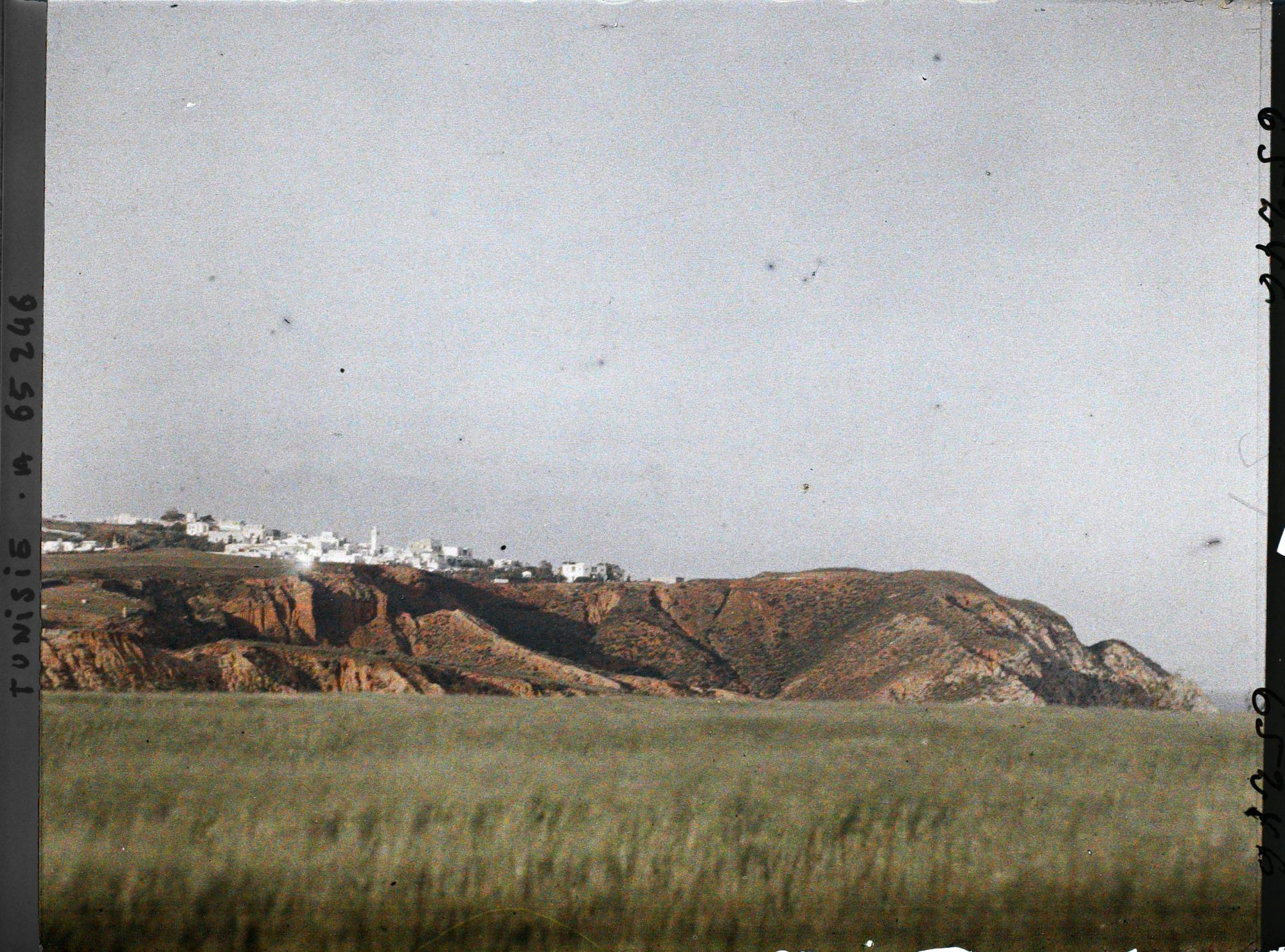 Image représentant Champs de blé et village sur la falaise