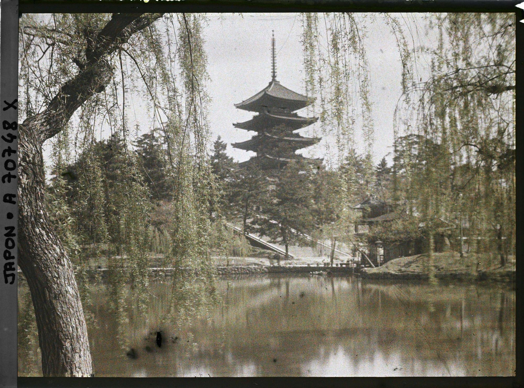 Image représentant Temple Kôfuku-ji : l'étang Sarusawa (Sarusawa-no-ike) et la Gojunoto (pagode à cinq étages)