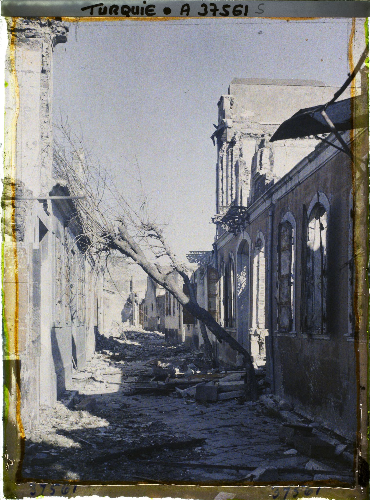 Image représentant Quartier arménien. Une rue bordée de bâtiments endommagés, un arbre tombé en travers (Rue Hadjimuçu)