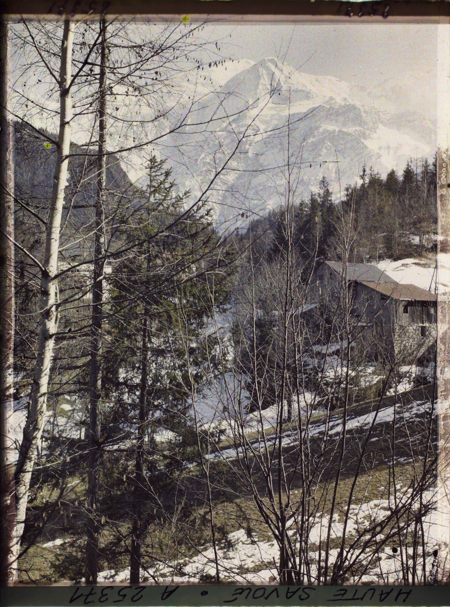 Image représentant France Les Alpes, Vallée de Chamonix ; Paysage Alpestre vers l' Aige du Goûter