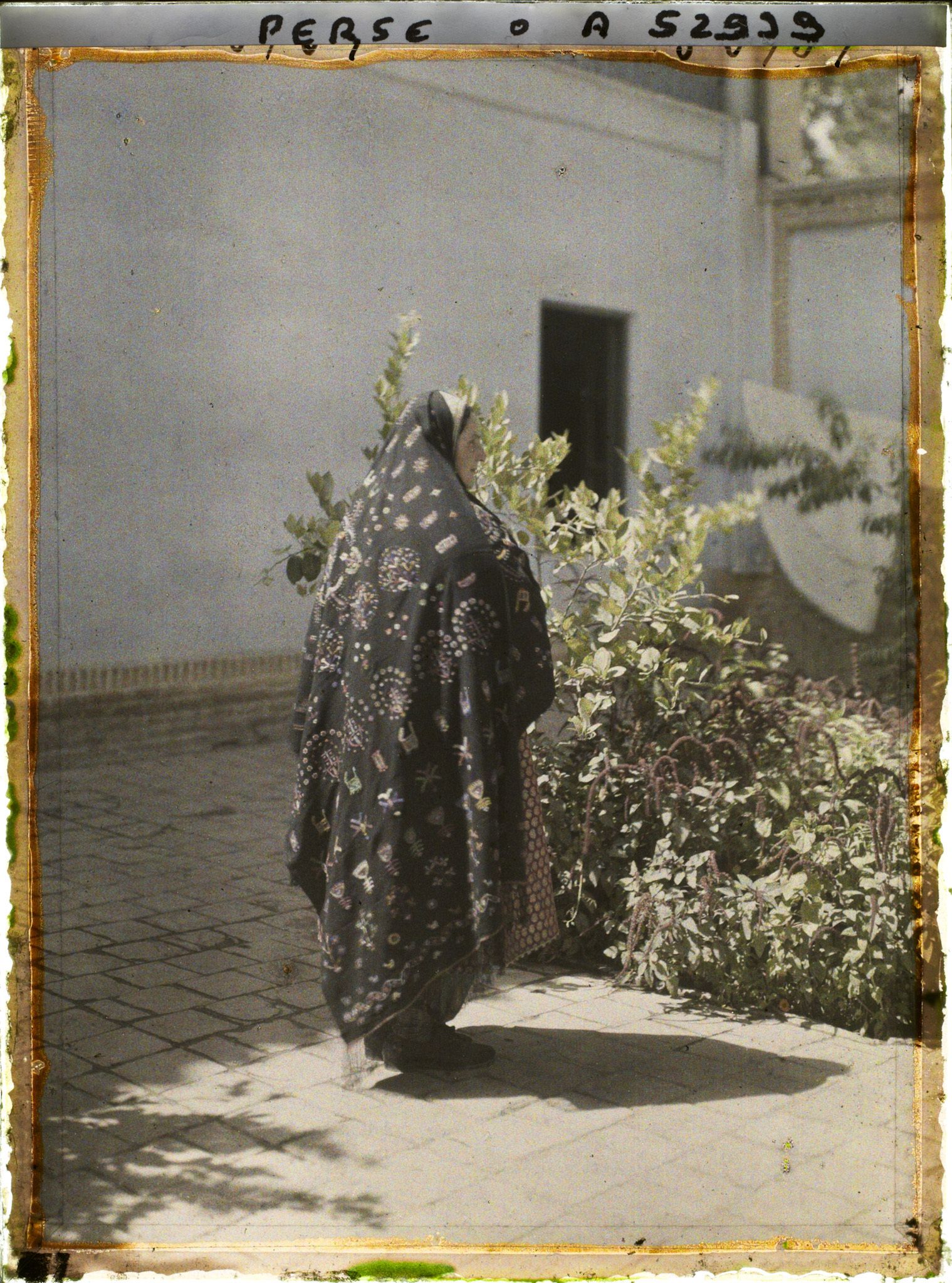 Image représentant Femme guèbre en costume traditionnel, de dos