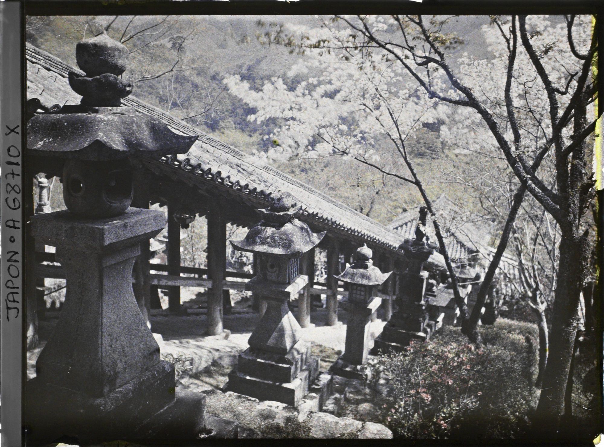 Image représentant Deuxième partie de l'escalier menant au temple Hase-dera