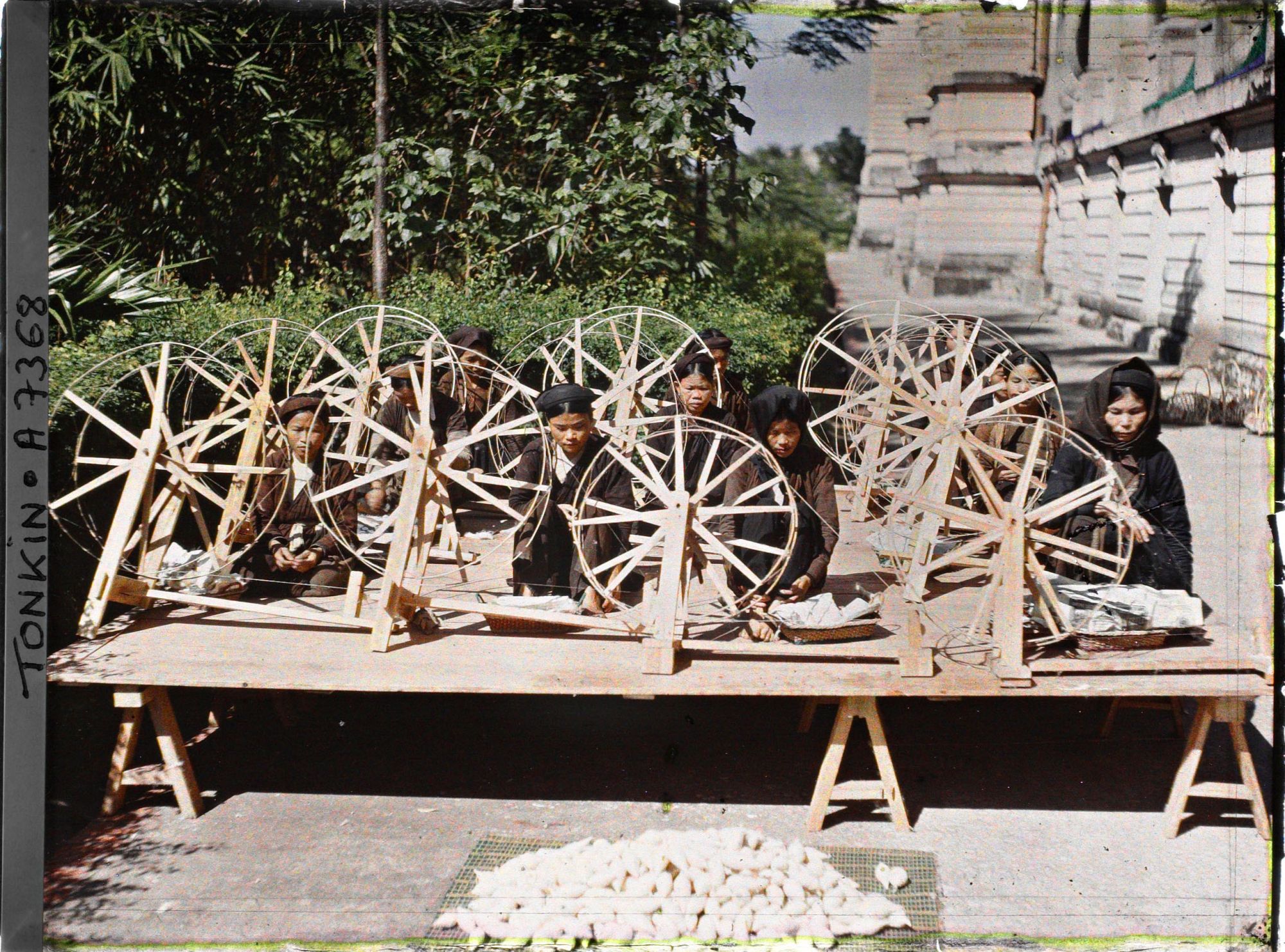 Image représentant Le filage du kapok