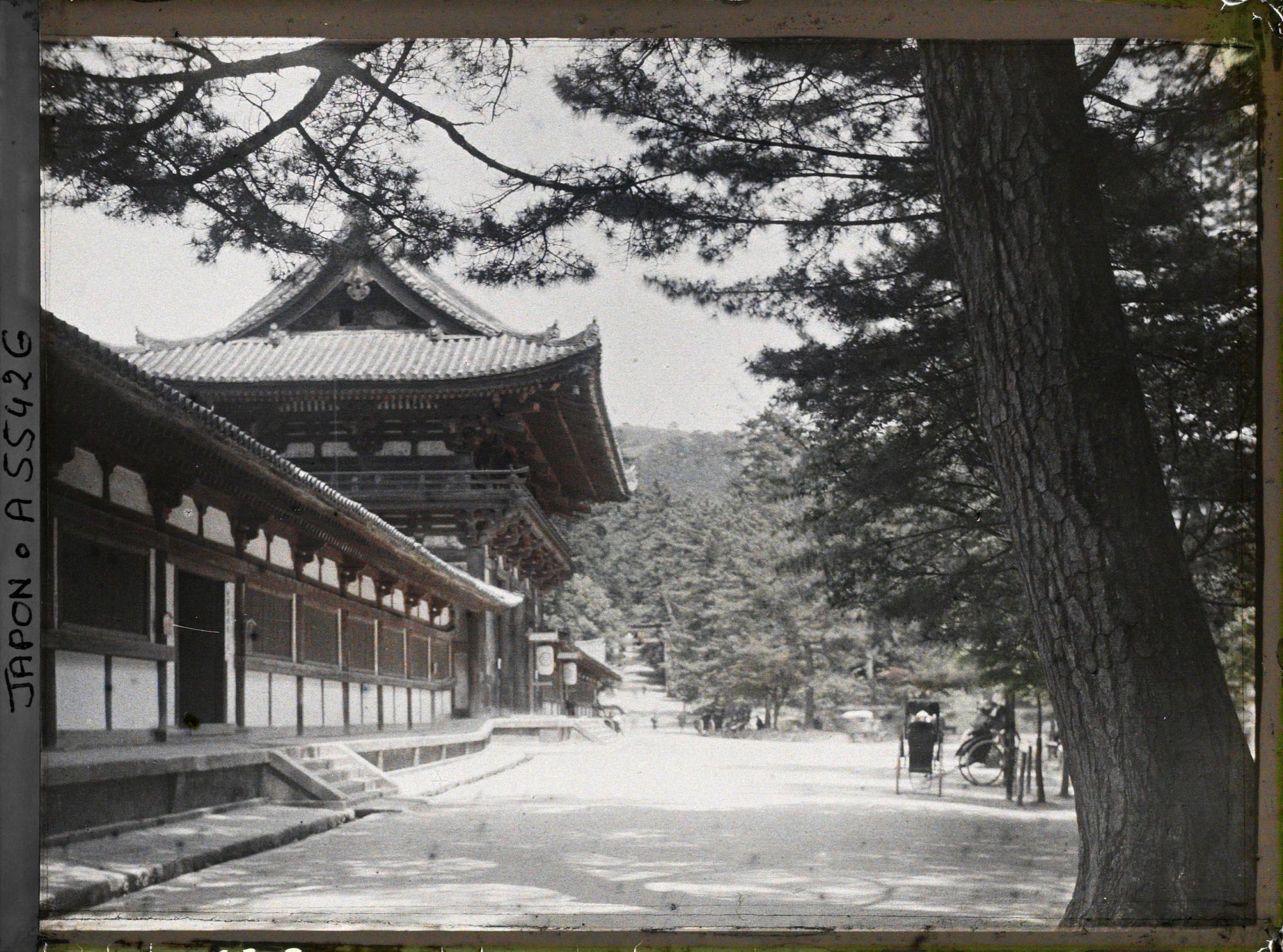 Image représentant Temple Tôdai-ji : la Porte intérieure (chûmon) et l'enceinte (kairô)