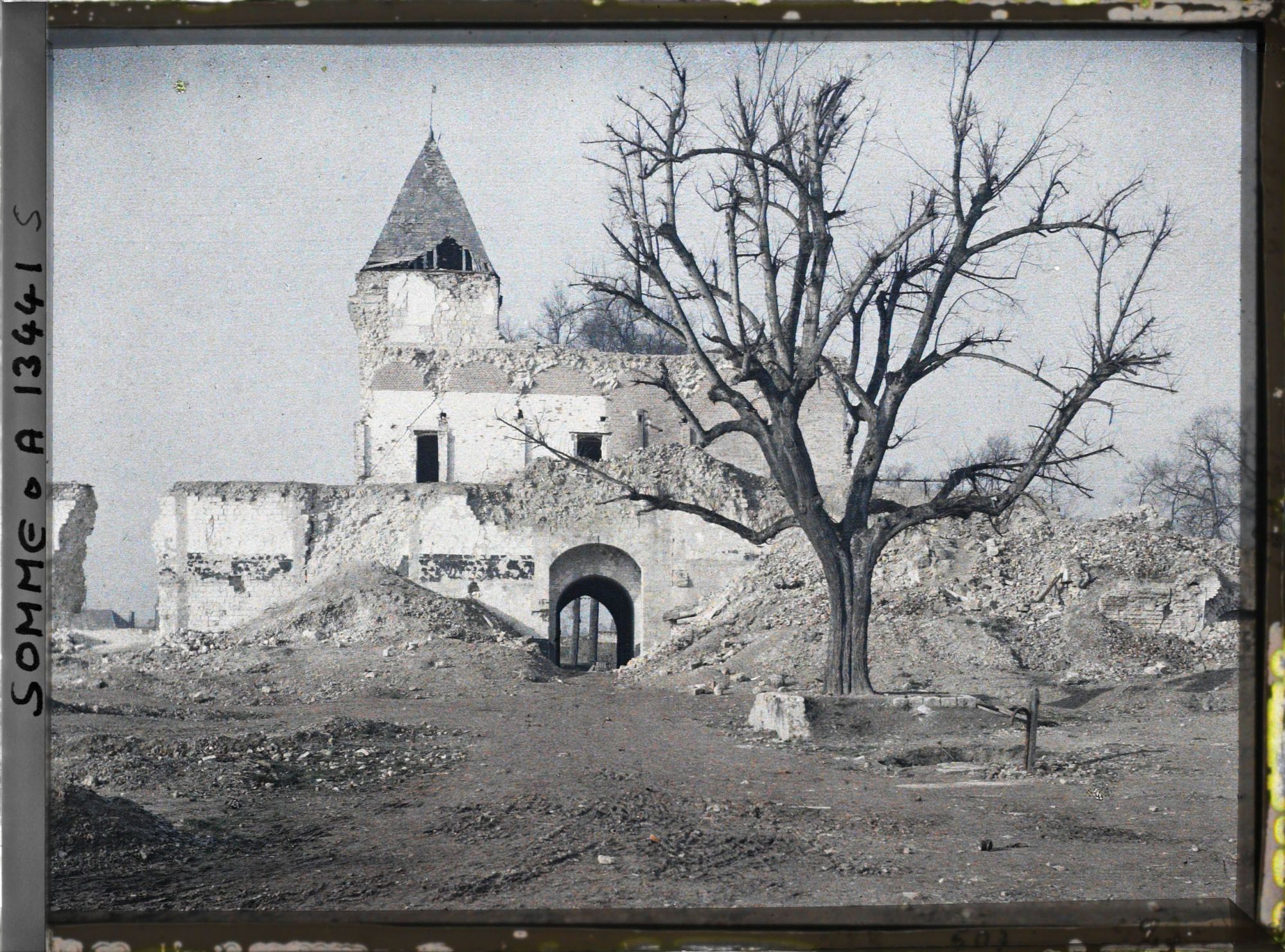 Image représentant France, Ham, L'arbre sous lequel venait se reposer Napoléon III