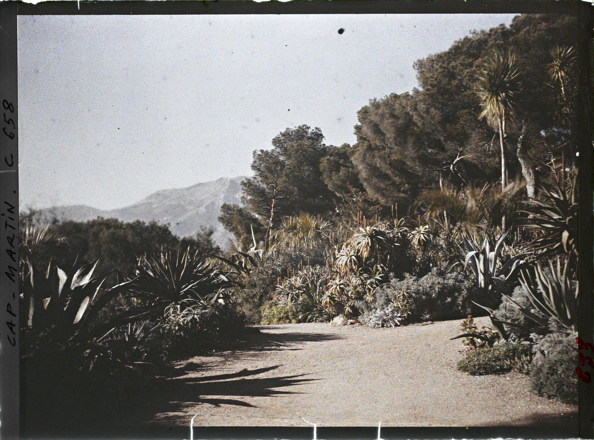 Image représentant Abord de Miramar