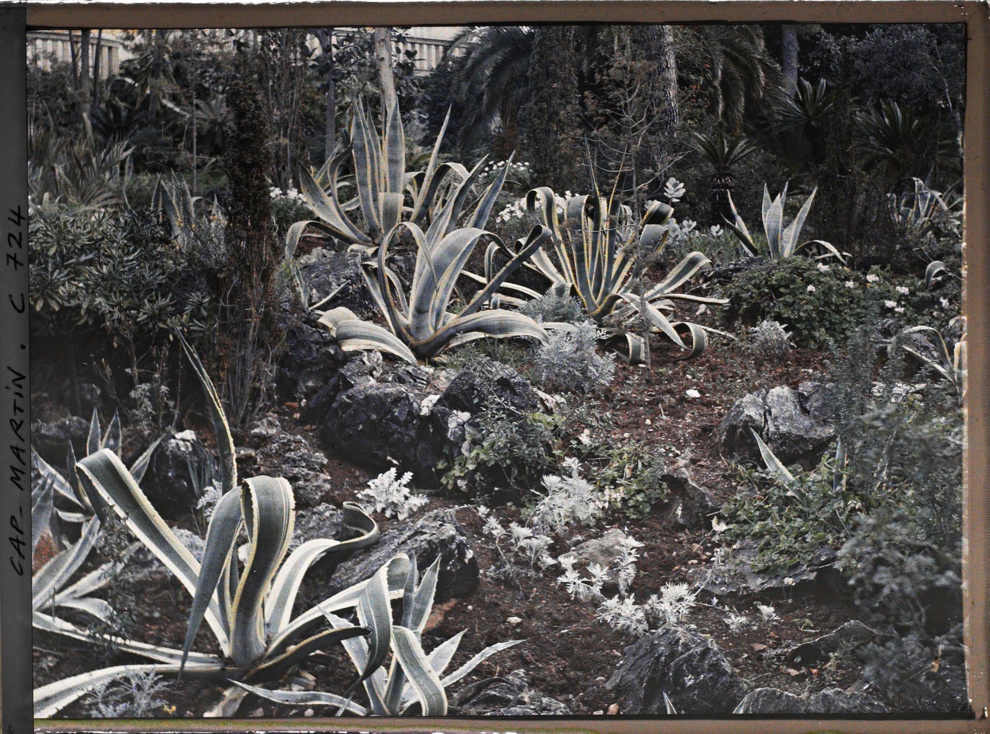 Image représentant Jardin divers