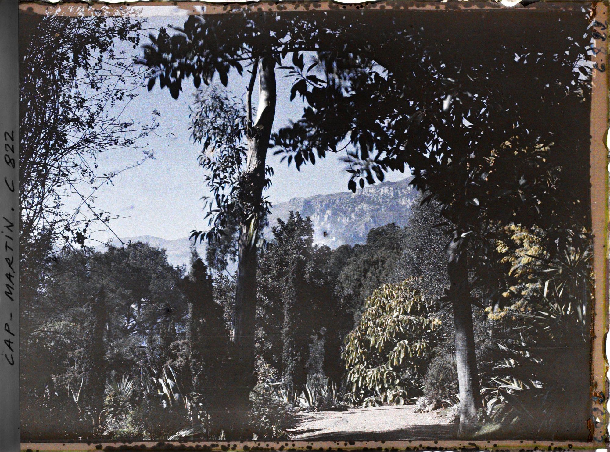 Image représentant Une allée du jardin