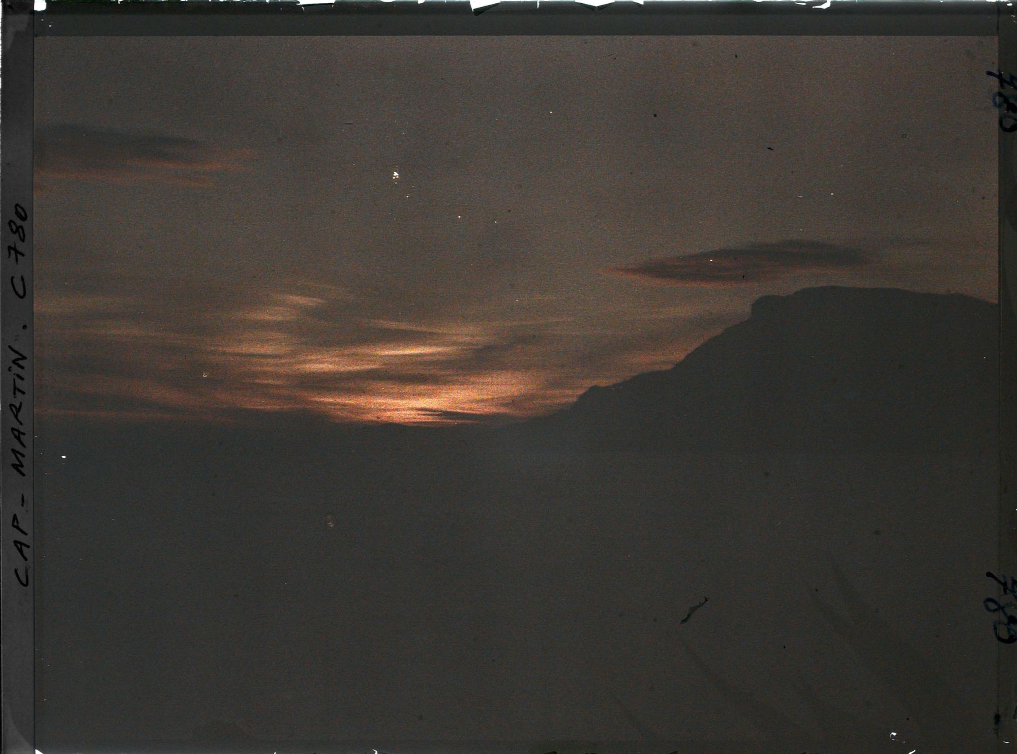 Image représentant Plantes exotiques se découpant dans le soleil couchant, en direction de Monaco