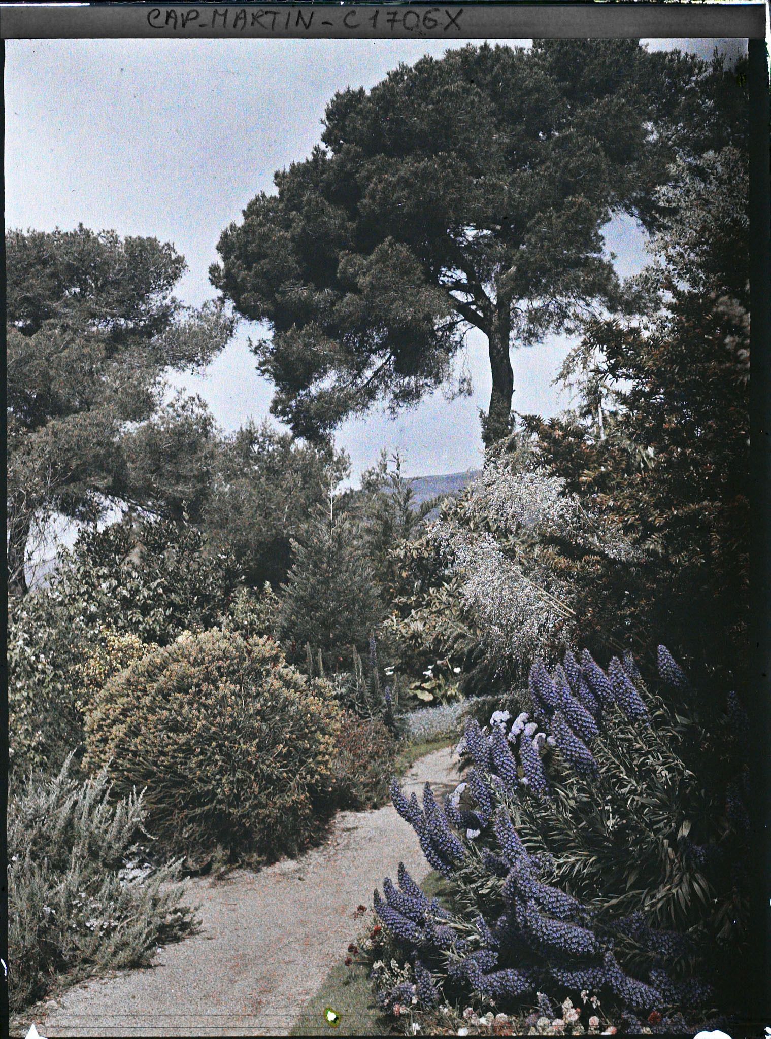 Image représentant Allée bordée de massifs fleuris et pelouse, vue en direction de Monaco