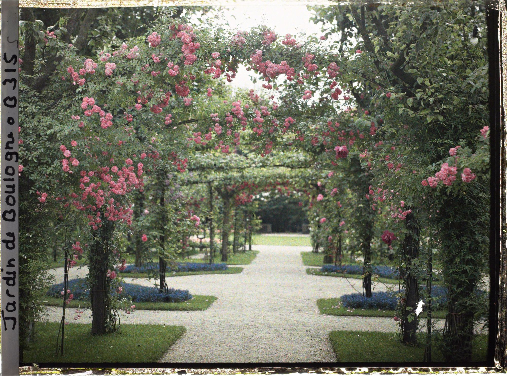 Image représentant Axe central du verger-roseraie vu vers le jardin anglais, près du rond-point côté jardin français