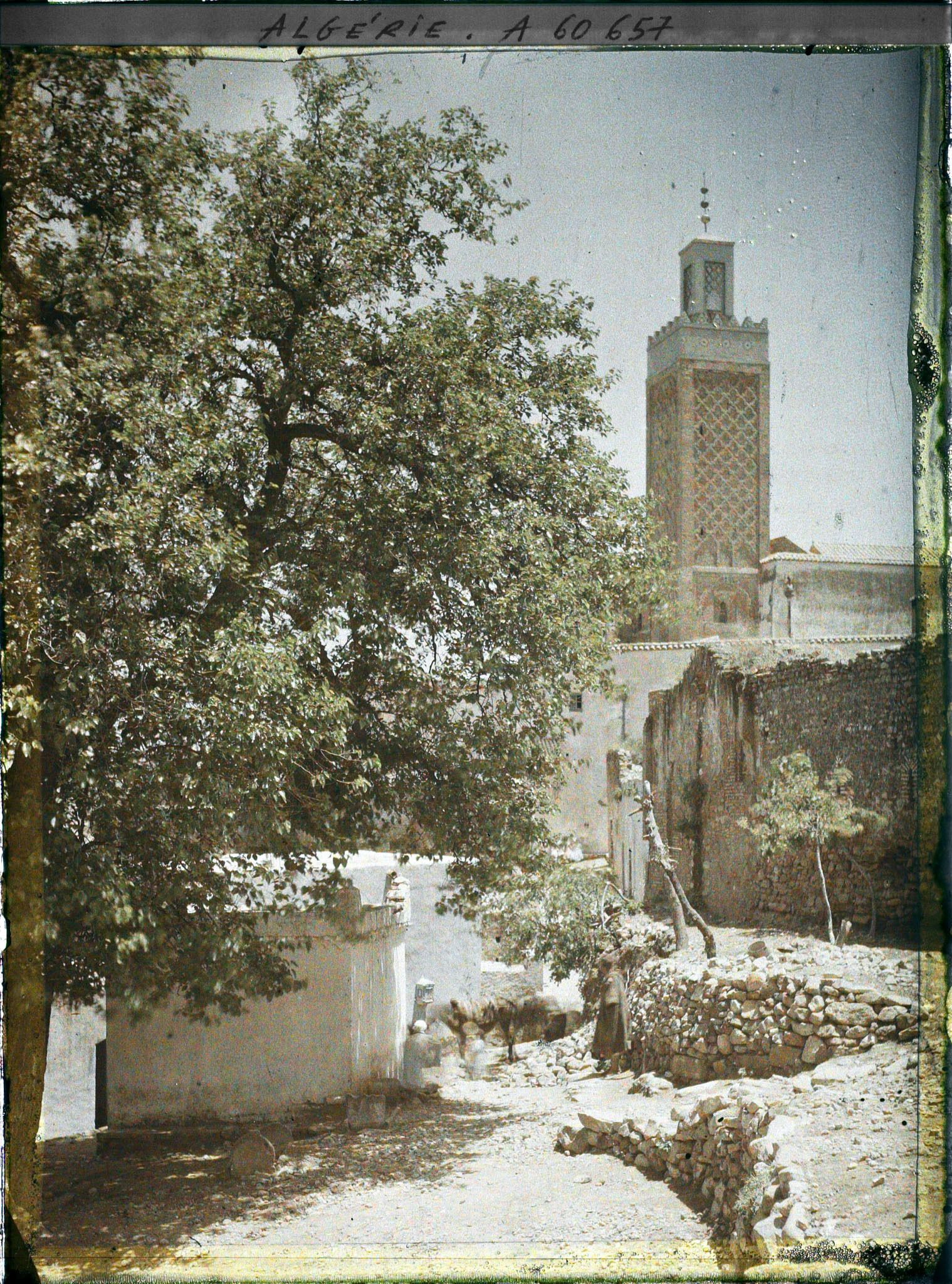 Image représentant Vue du village avec le minaret à l'arrière-plan