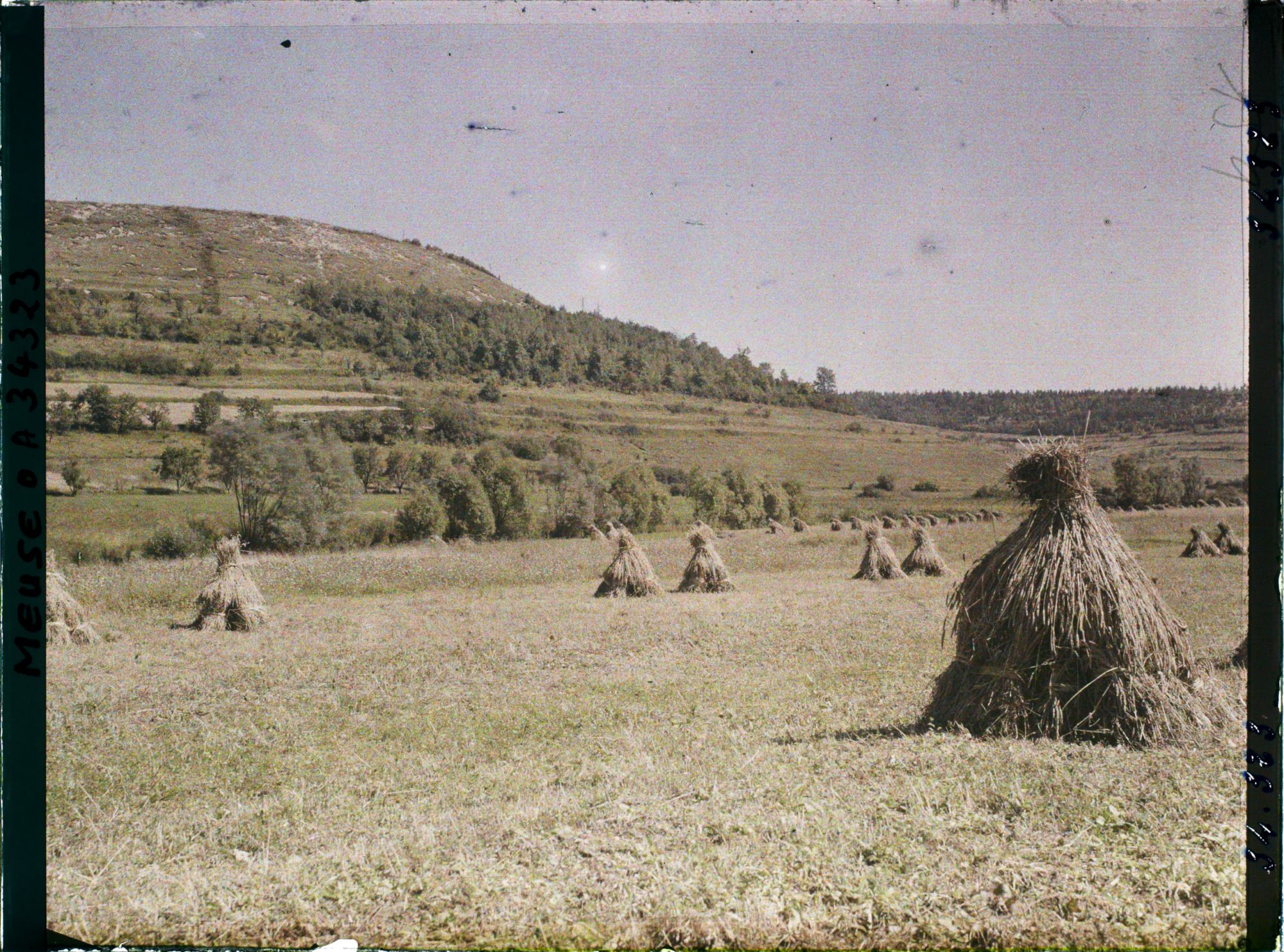 Image représentant France, Les Eparges, Crête des Eparges, façade sud Ouest, et moissons