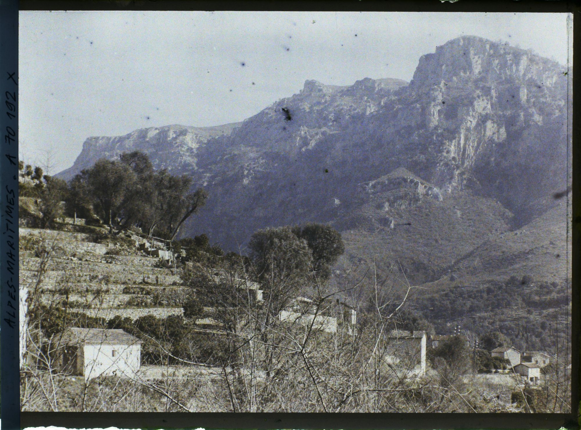 Image représentant Cultures en terrasse dans la vallée du Loup